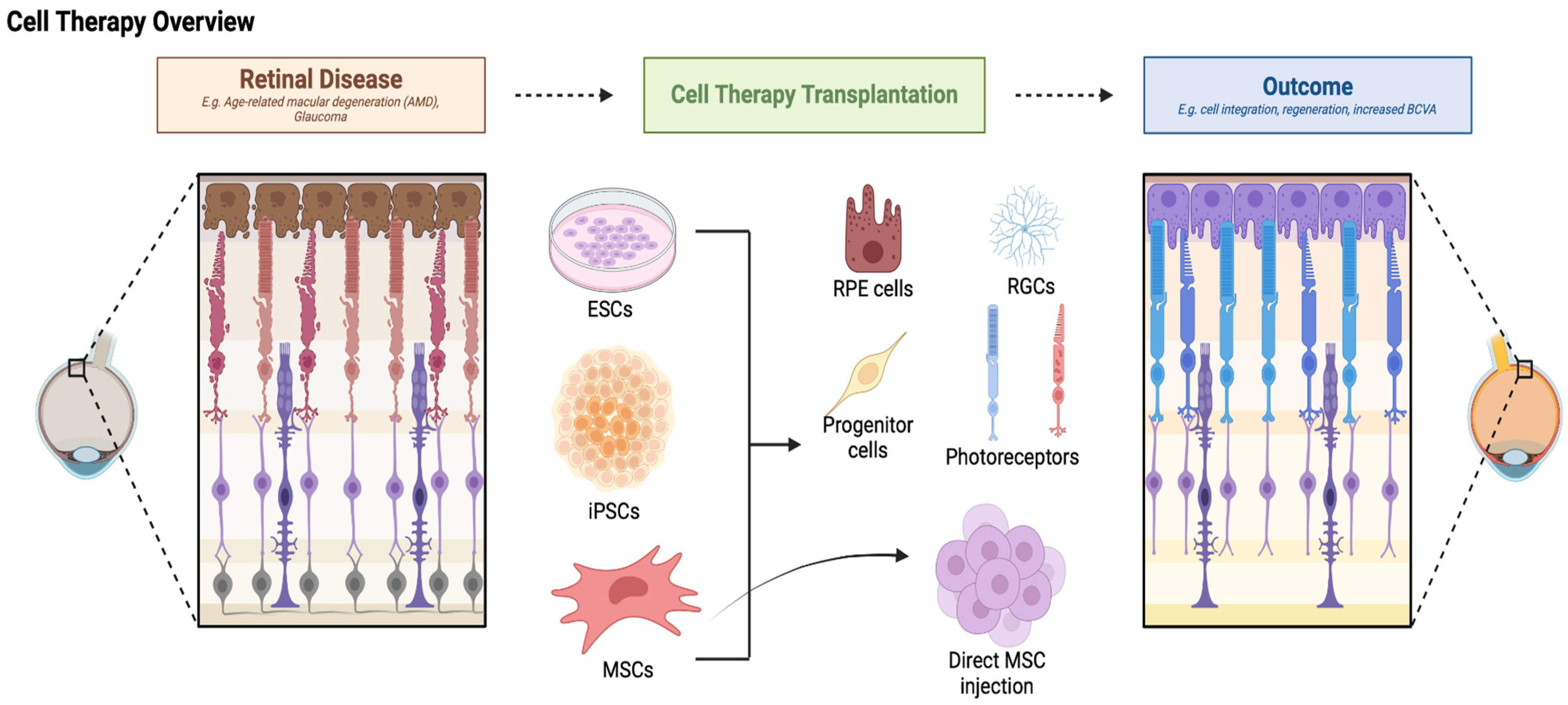 Pharmaceutics 16 01299 g004