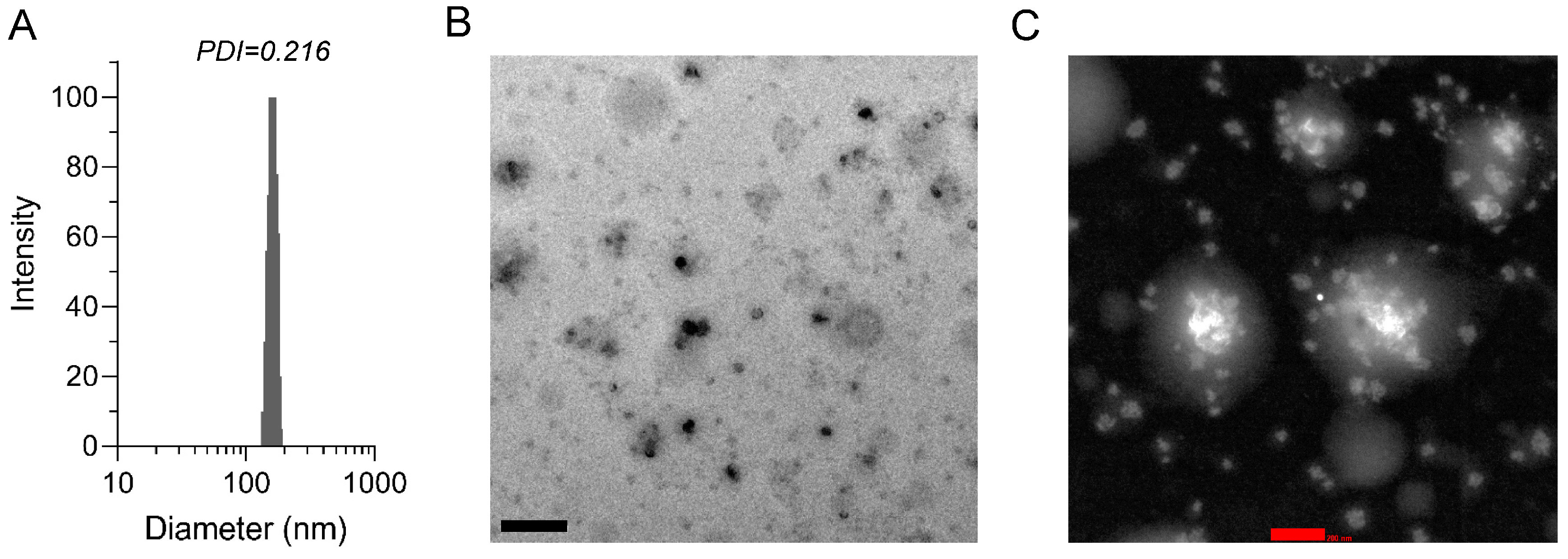 Pharmaceutics 16 01303 g002