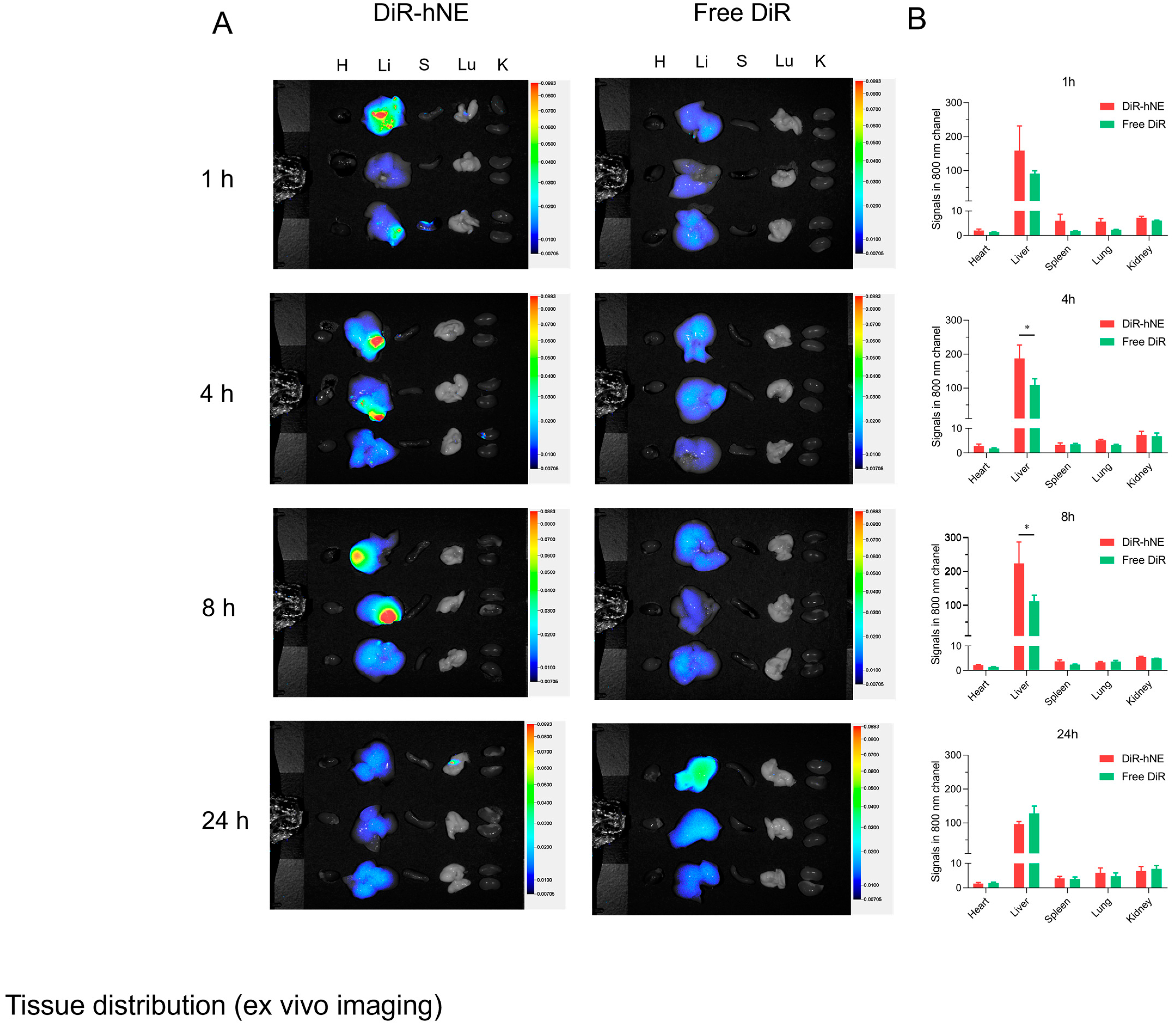 Pharmaceutics 16 01303 g006