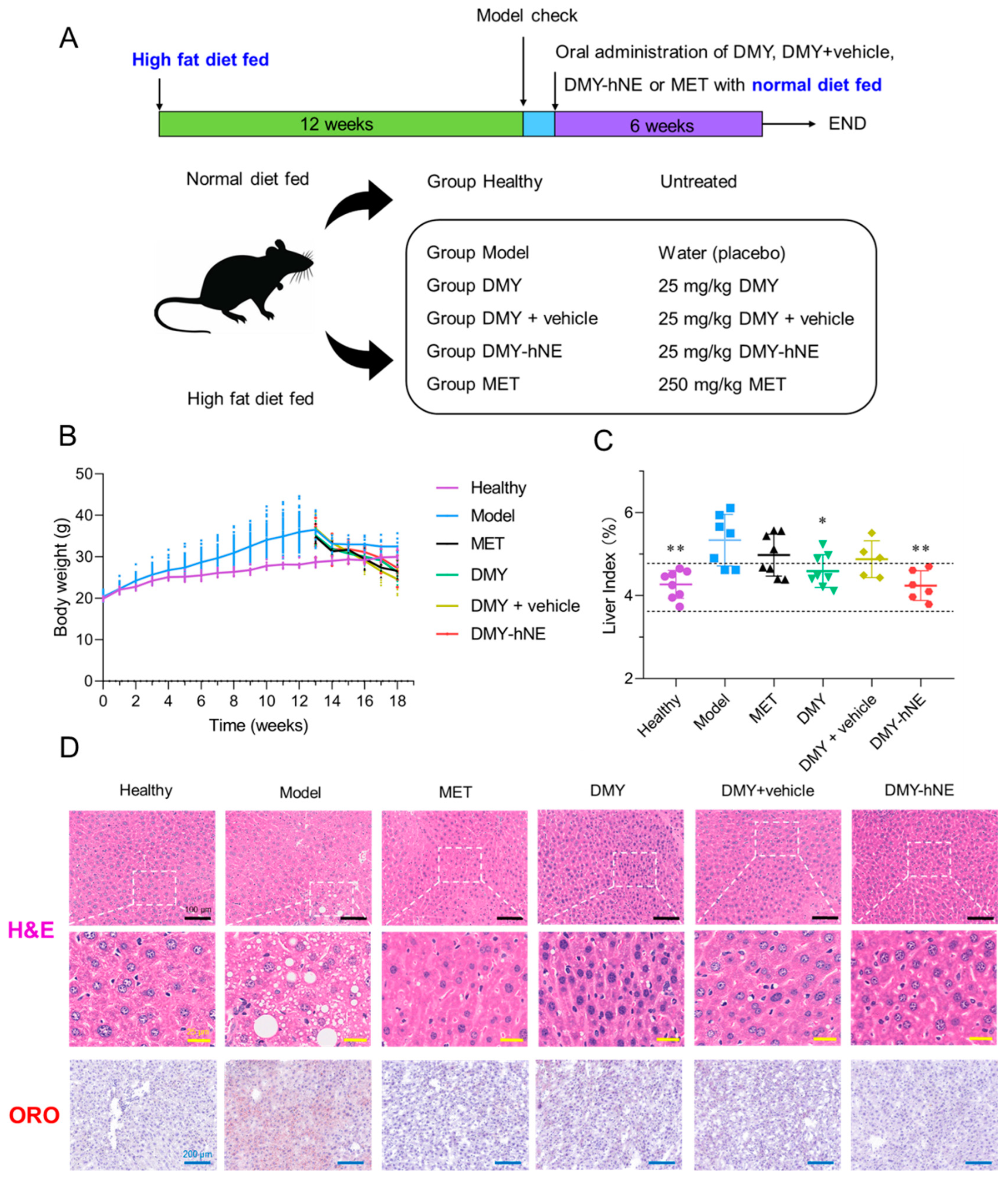 Pharmaceutics 16 01303 g008