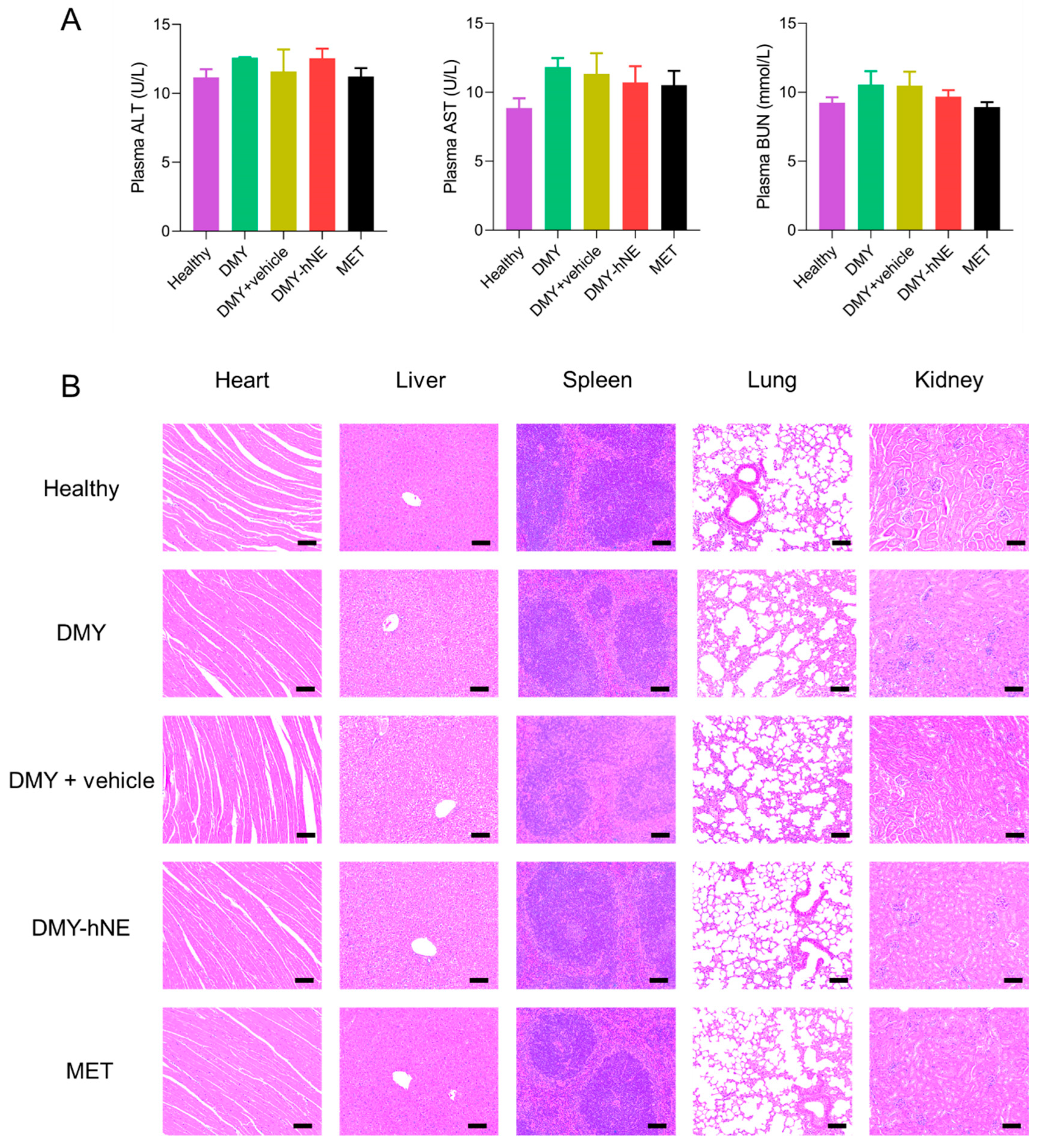 Pharmaceutics 16 01303 g011