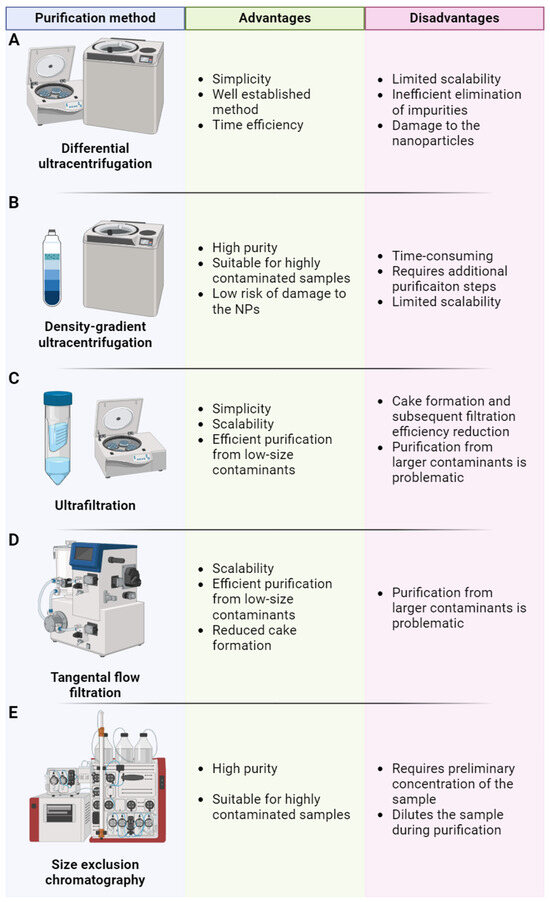 Biomimetic Nanoparticles for Basic Drug Delivery