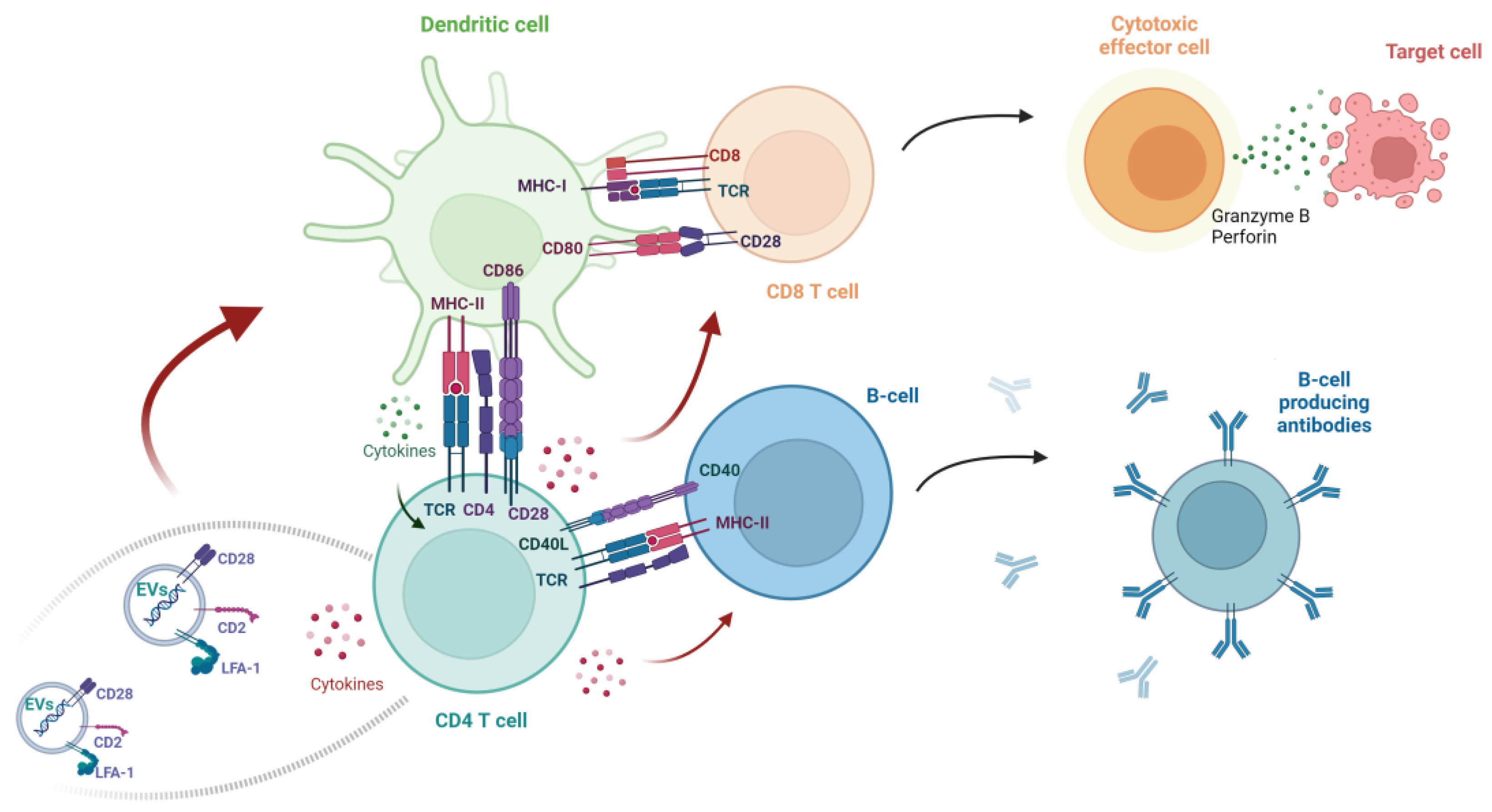 Pharmaceutics 16 01308 g001 Pharmaceutics 16 01308 g001