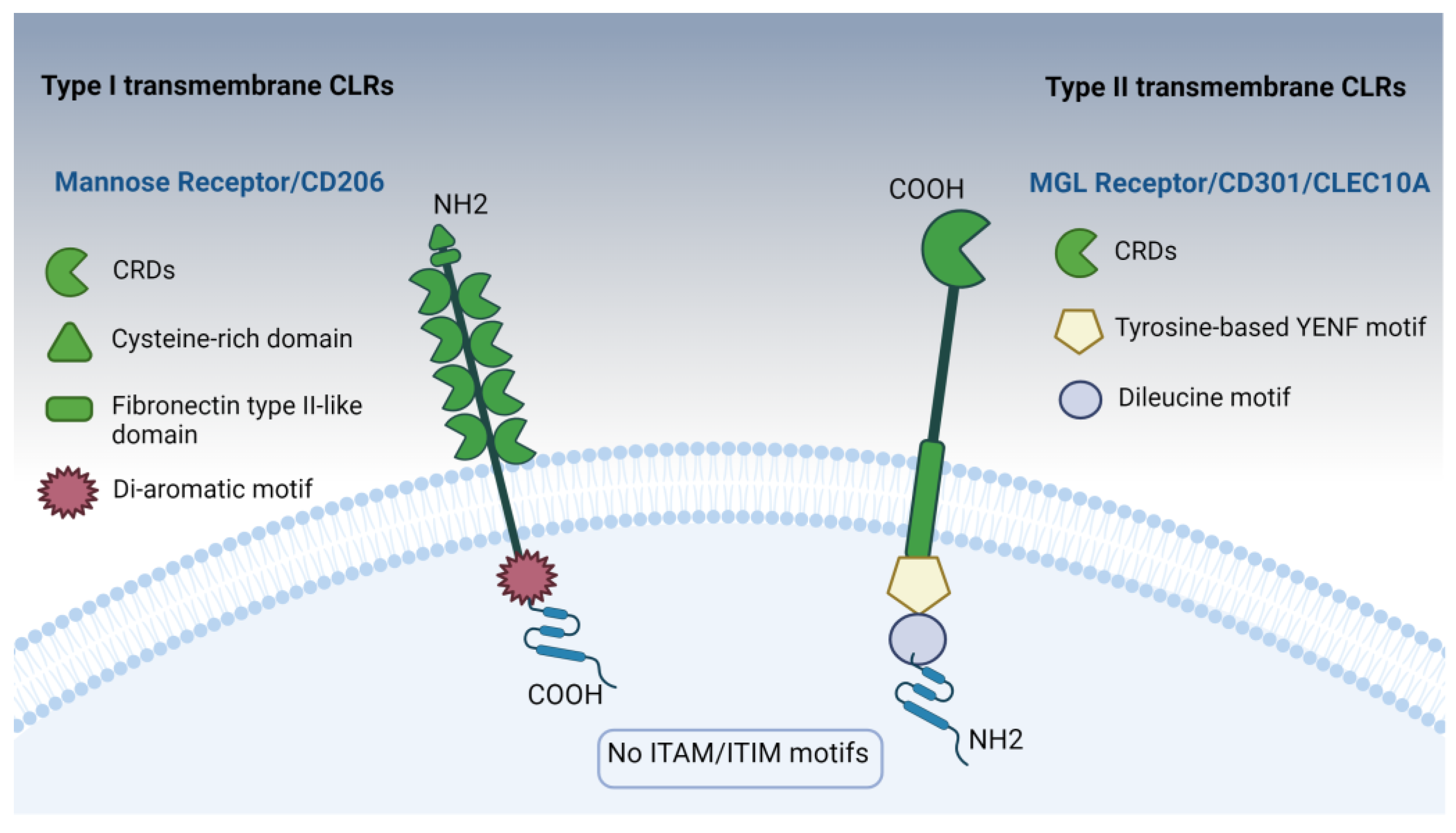 Pharmaceutics 16 01308 g002 Pharmaceutics 16 01308 g002