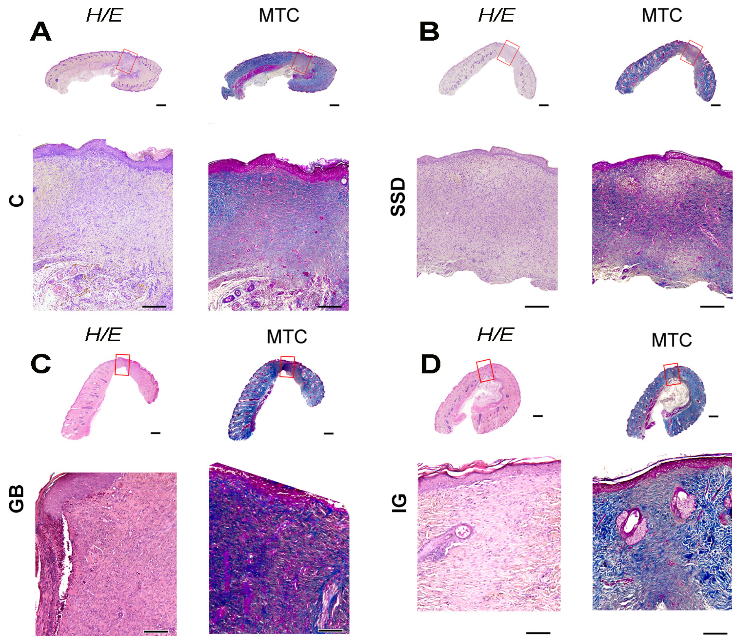 Pharmaceutics 16 01309 g008
