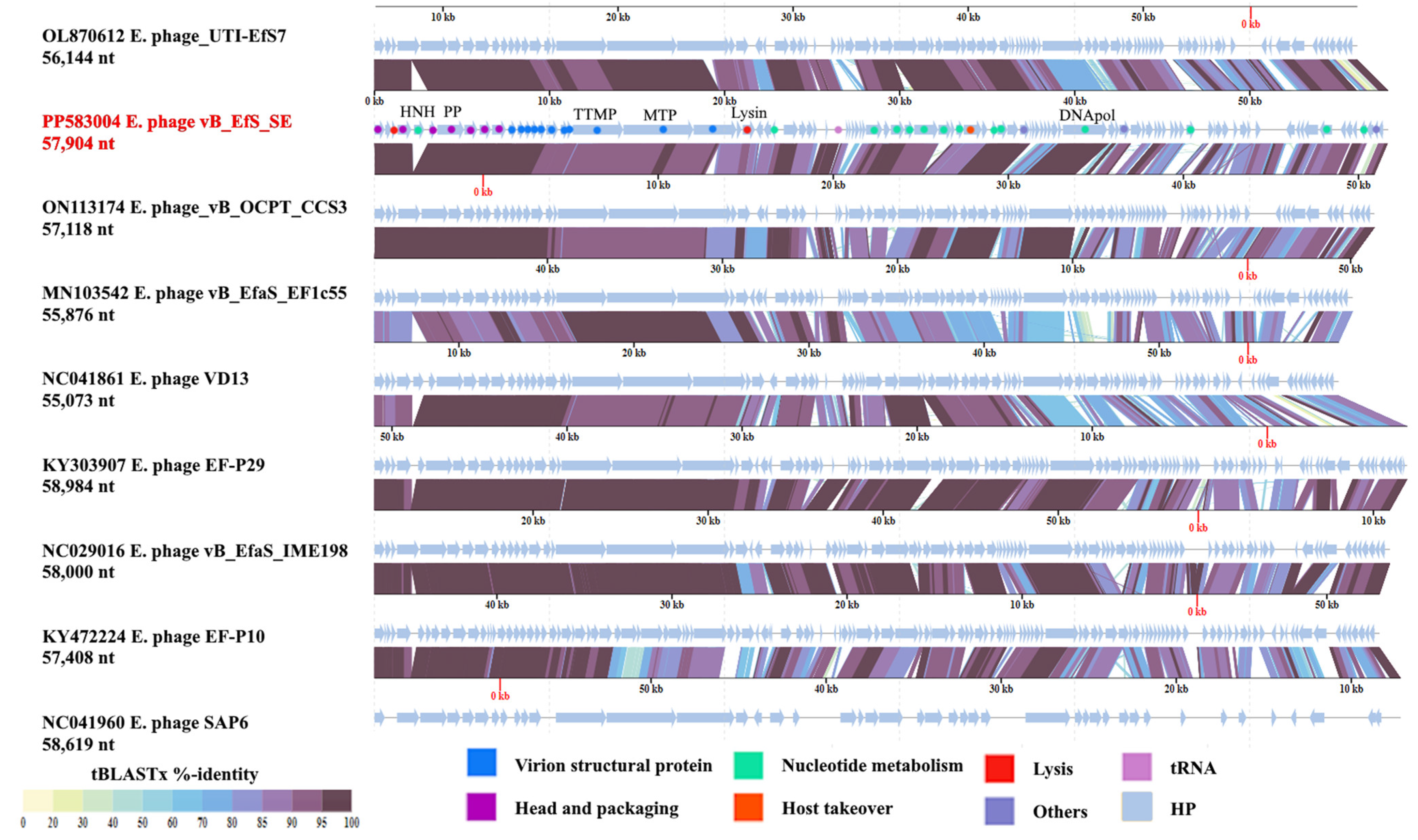 Pharmaceutics 16 01312 g005 Pharmaceutics 16 01312 g005