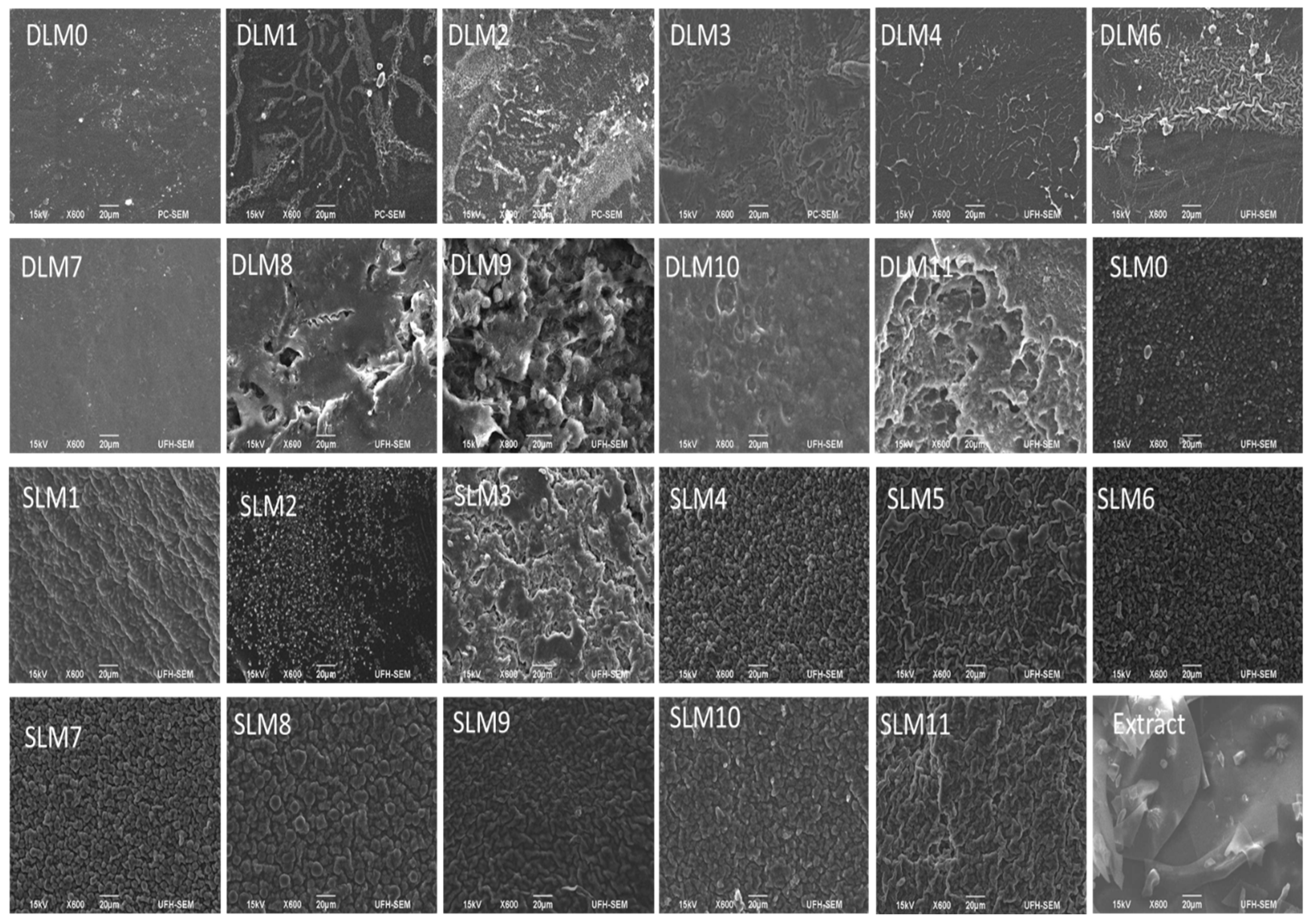 Pharmaceutics 16 01313 g002