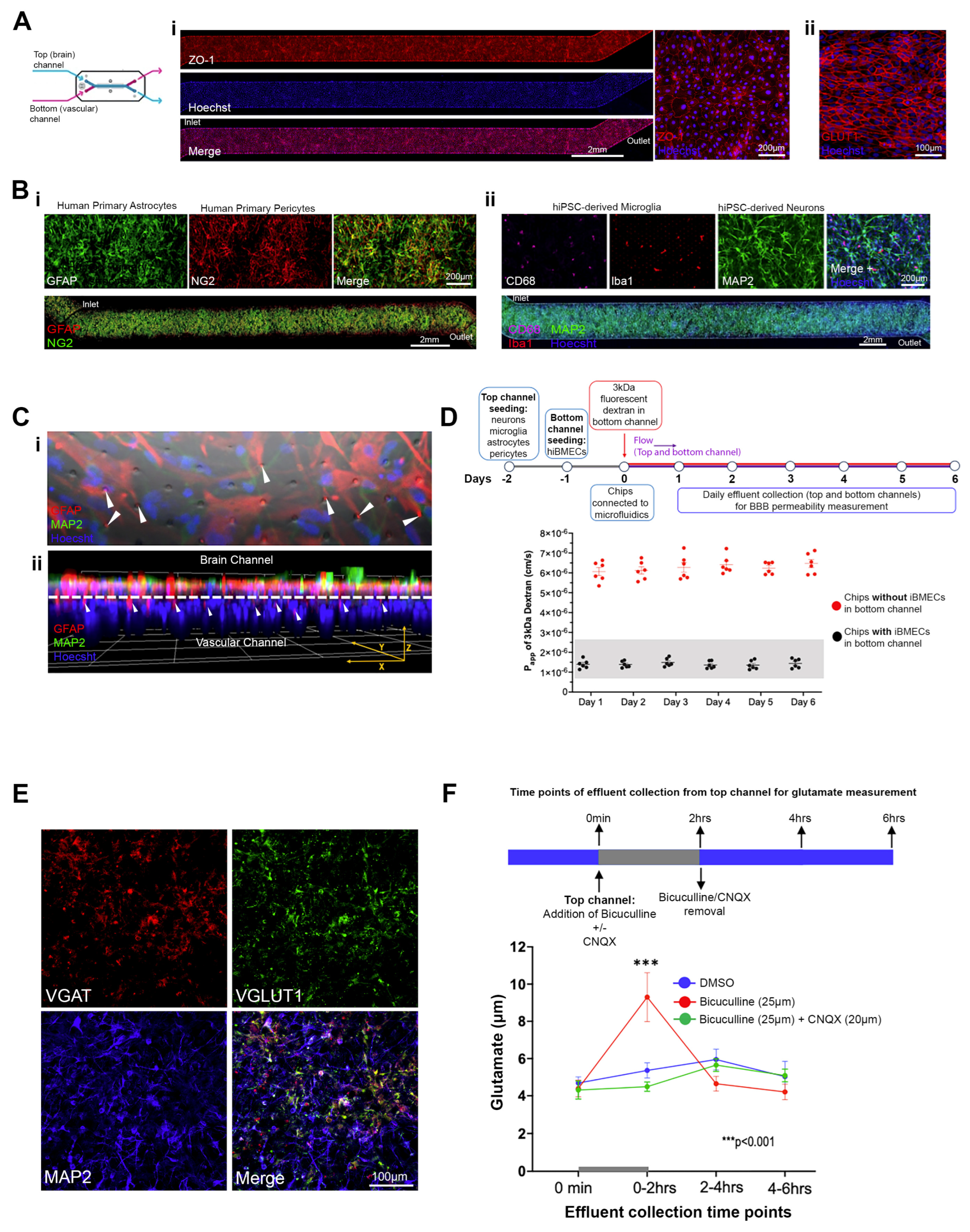 Pharmaceutics 16 01314 g001 Pharmaceutics 16 01314 g001