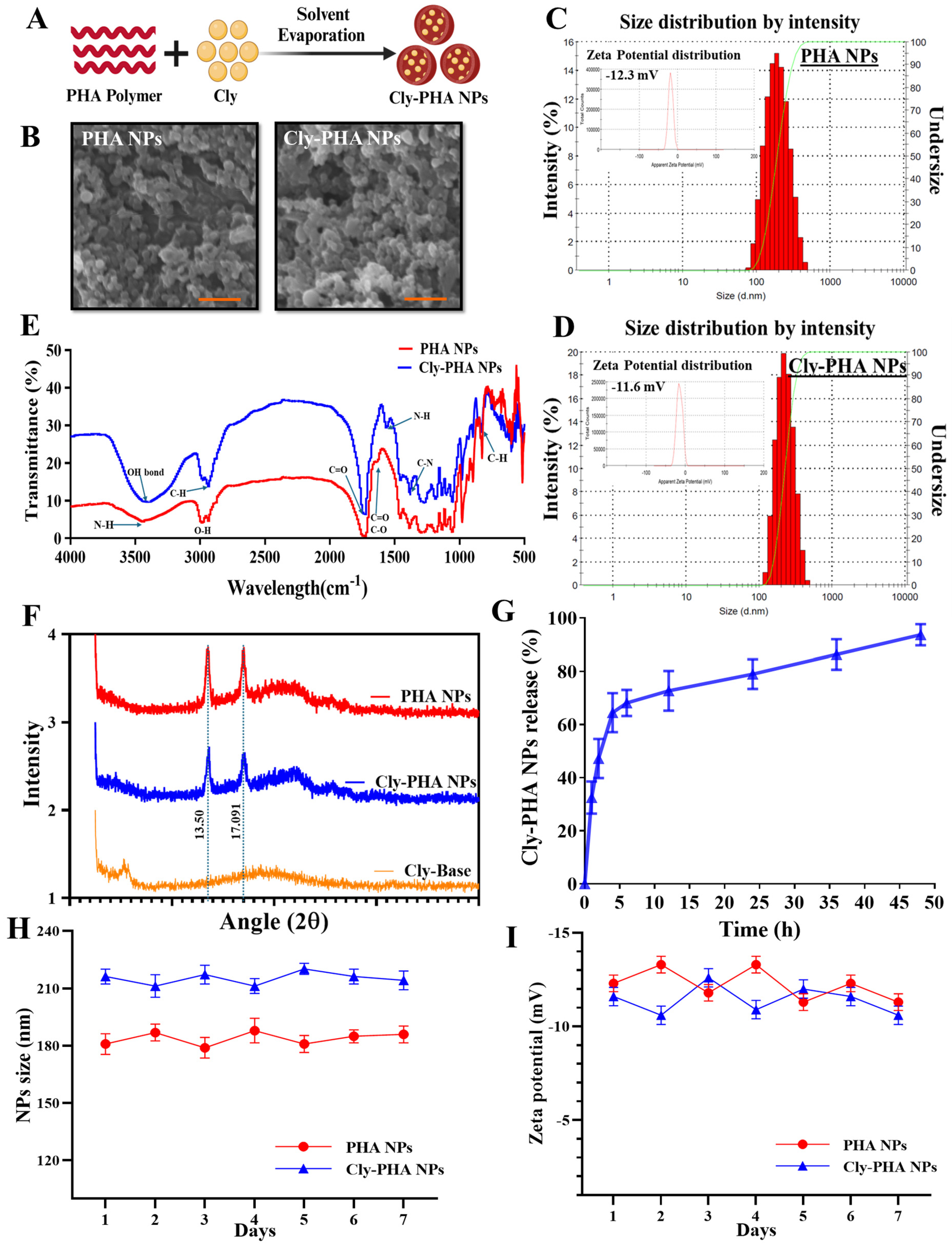 Pharmaceutics 16 01315 g001