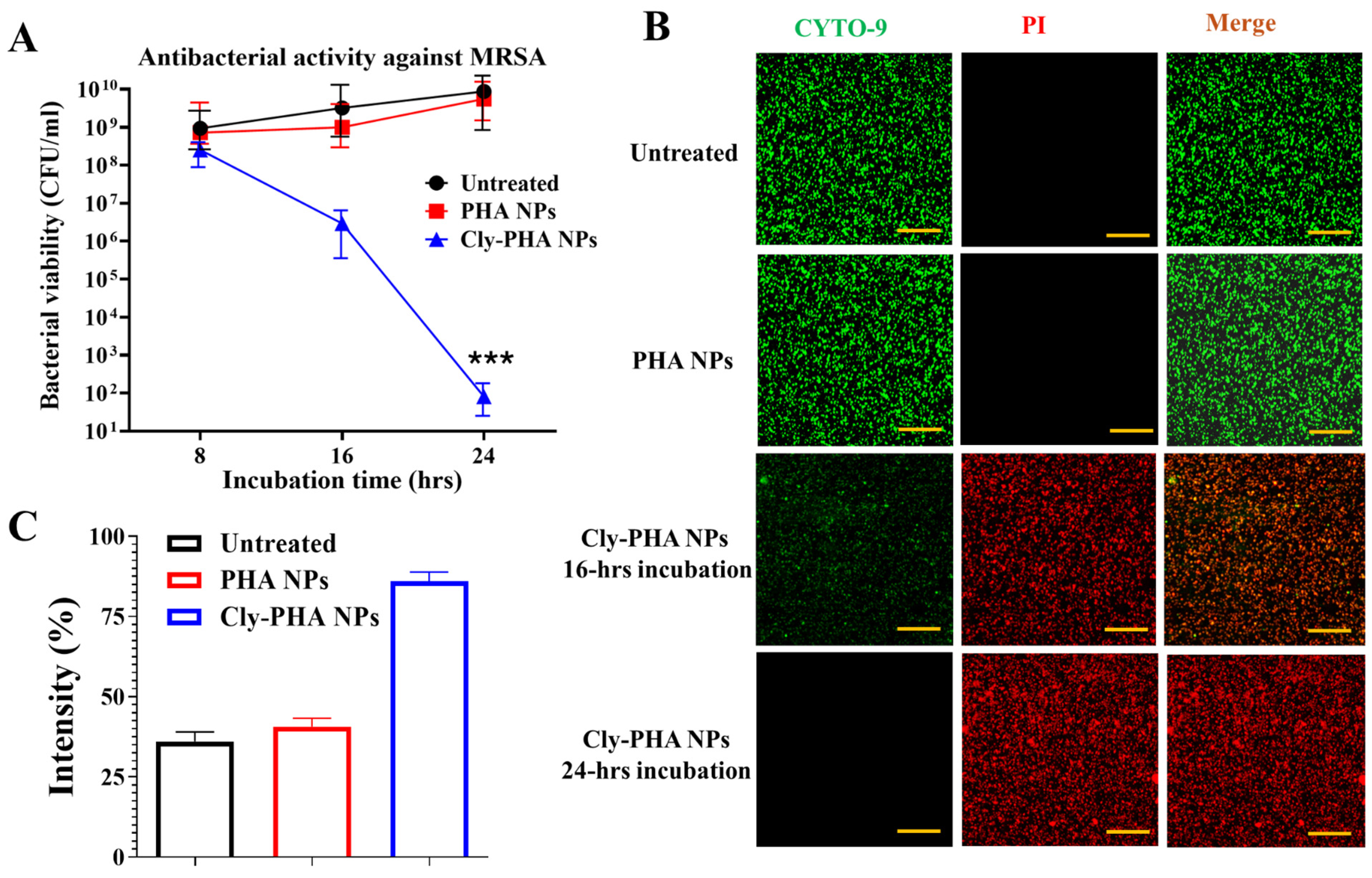Pharmaceutics 16 01315 g002