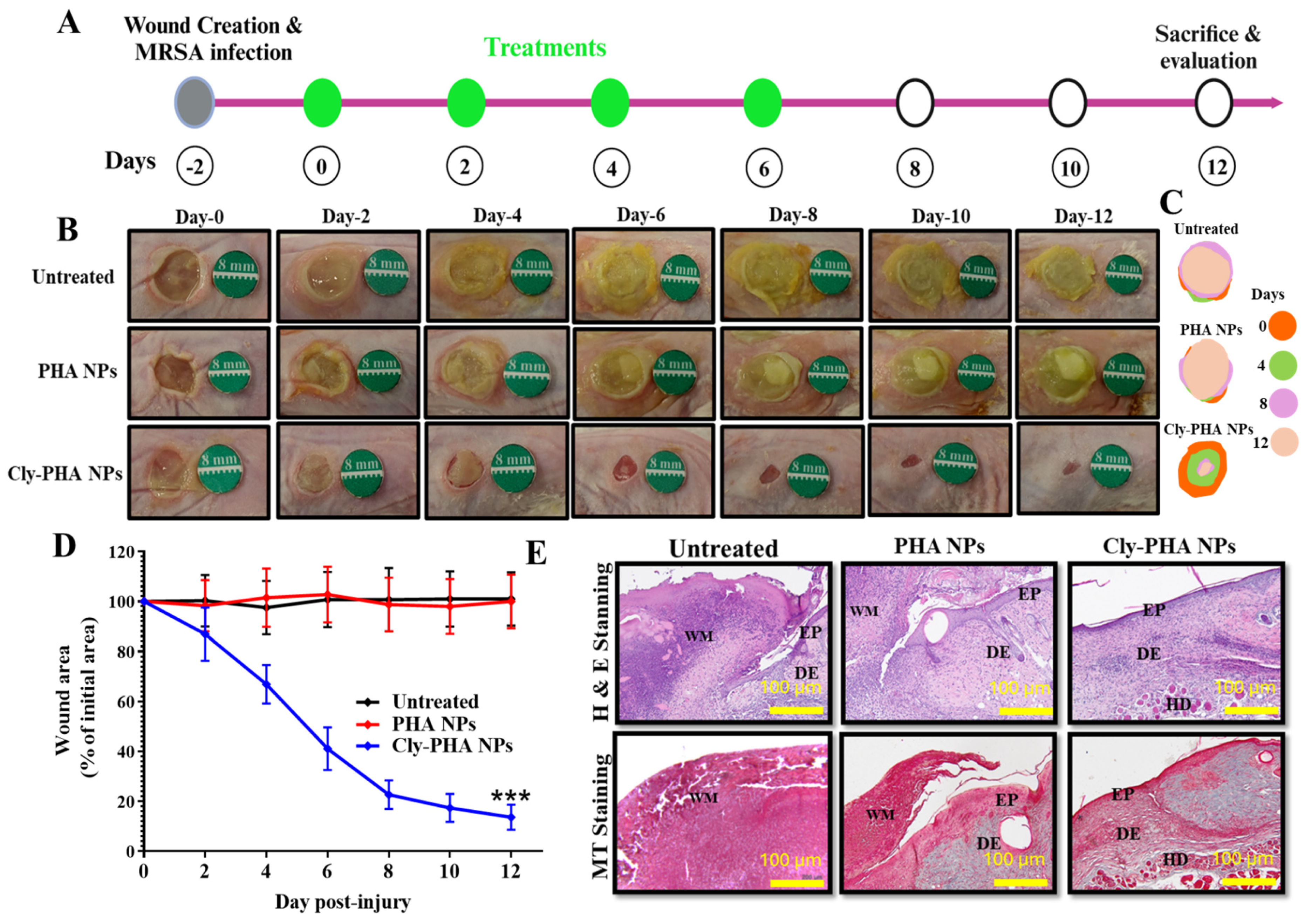 Pharmaceutics 16 01315 g003