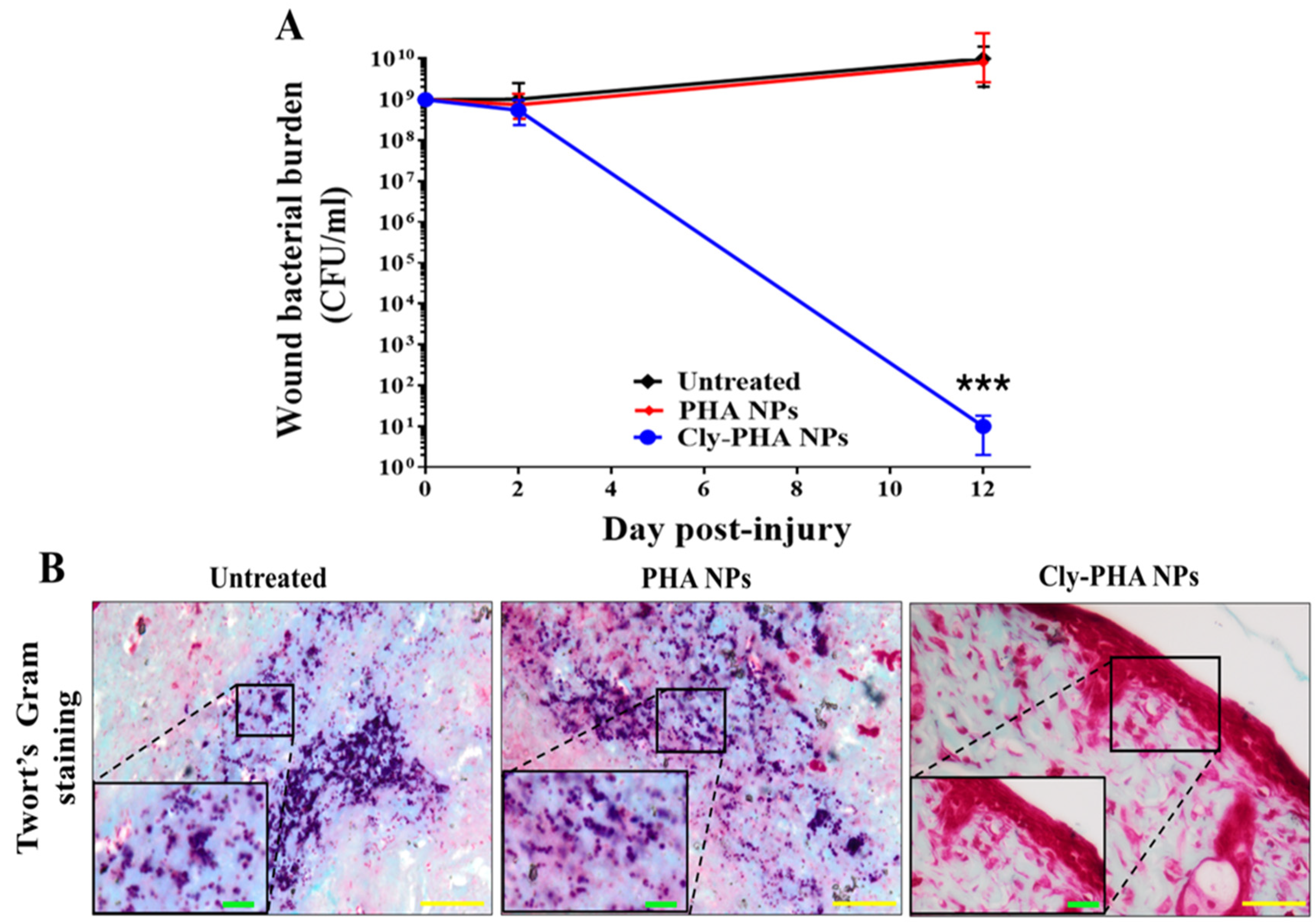 Pharmaceutics 16 01315 g004