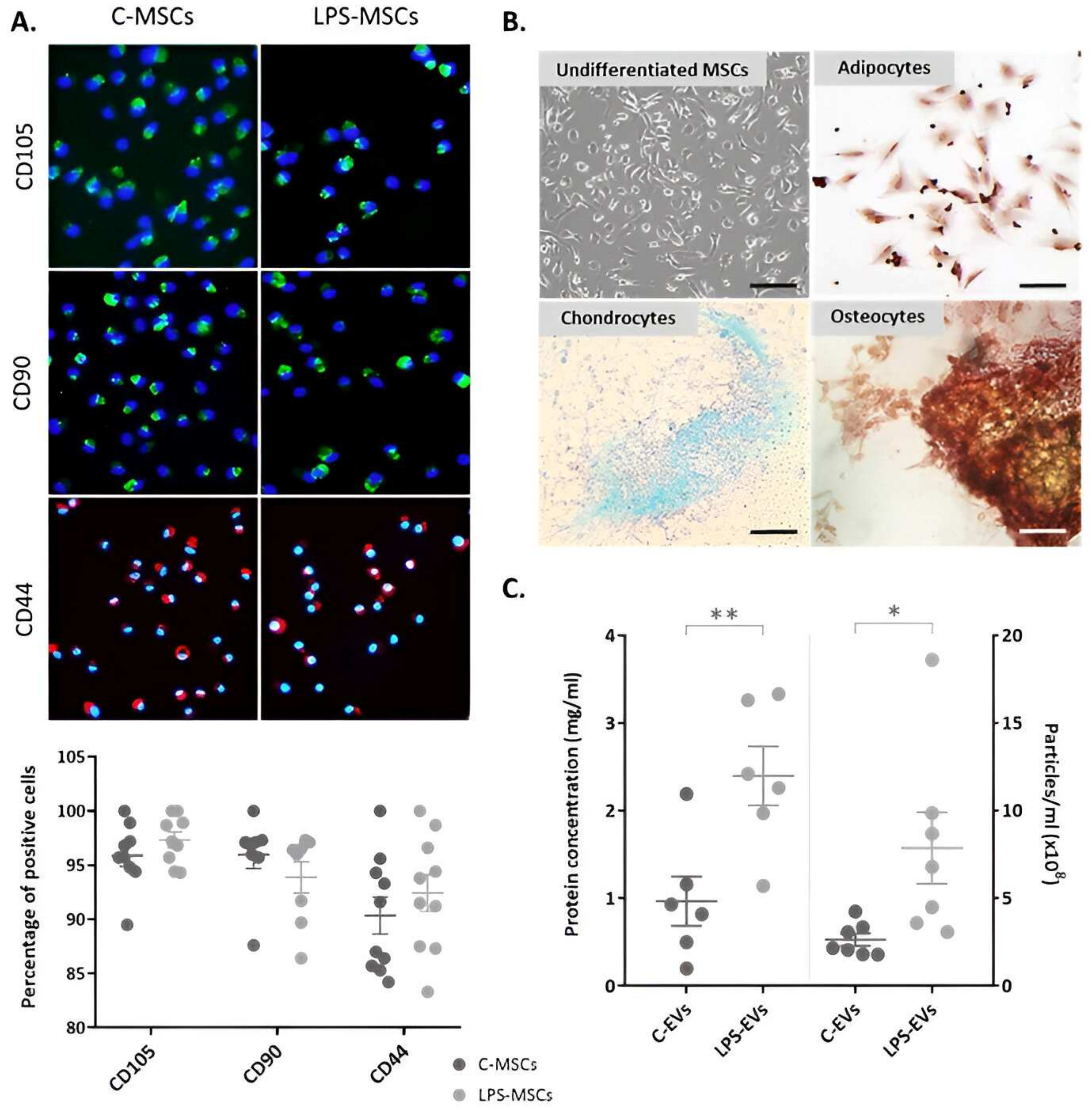 Pharmaceutics 16 01316 g001