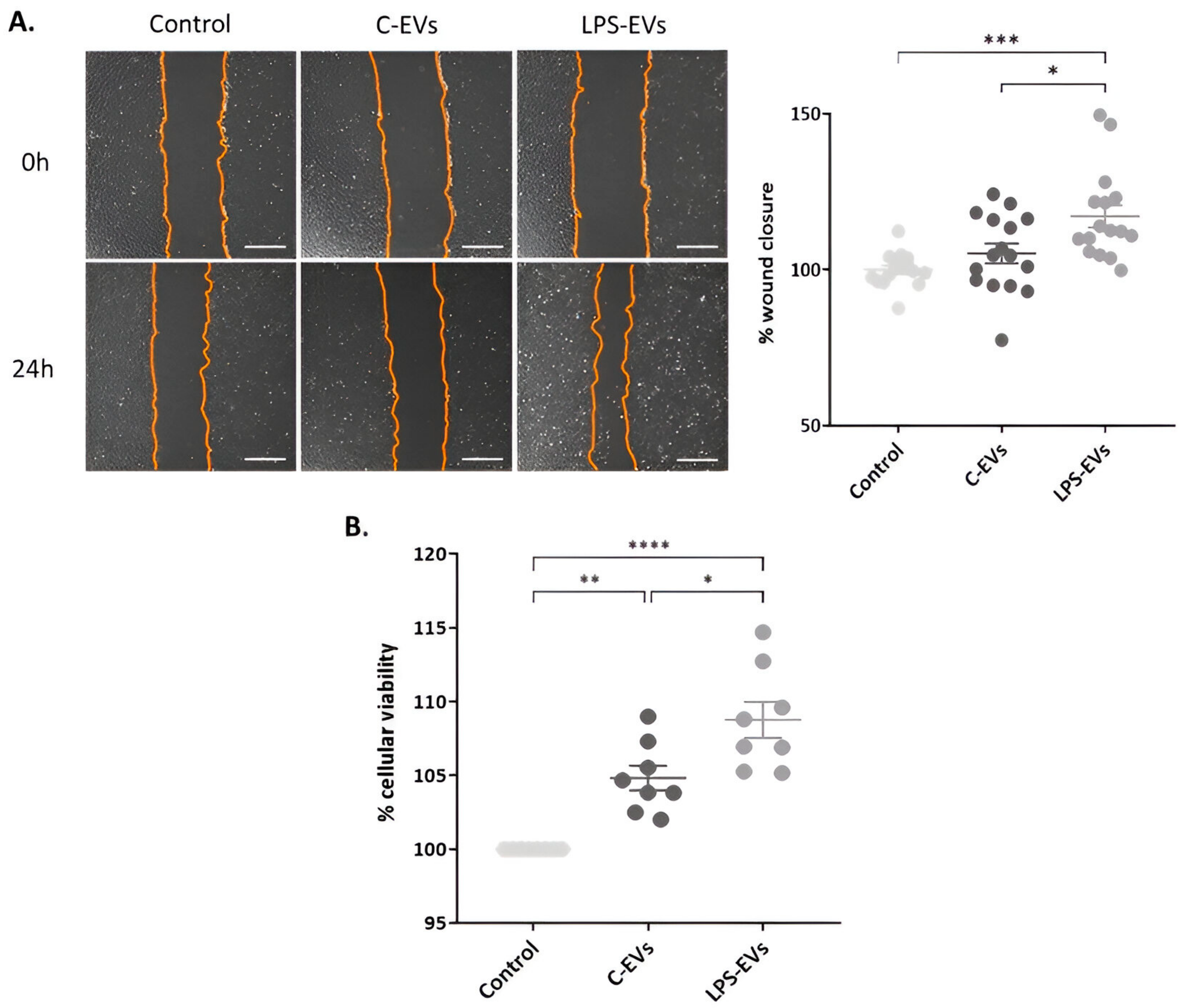 Pharmaceutics 16 01316 g003