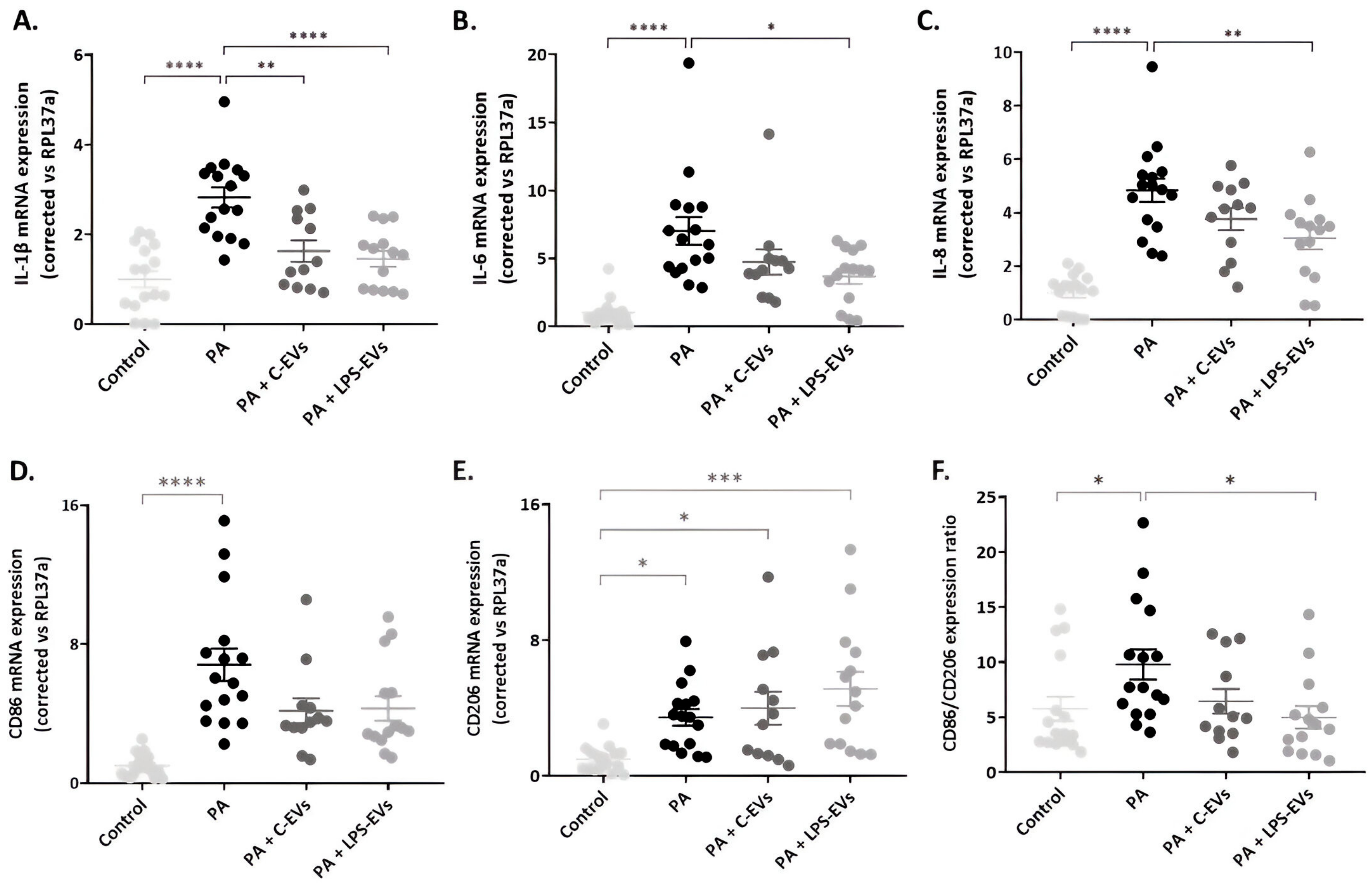 Pharmaceutics 16 01316 g004