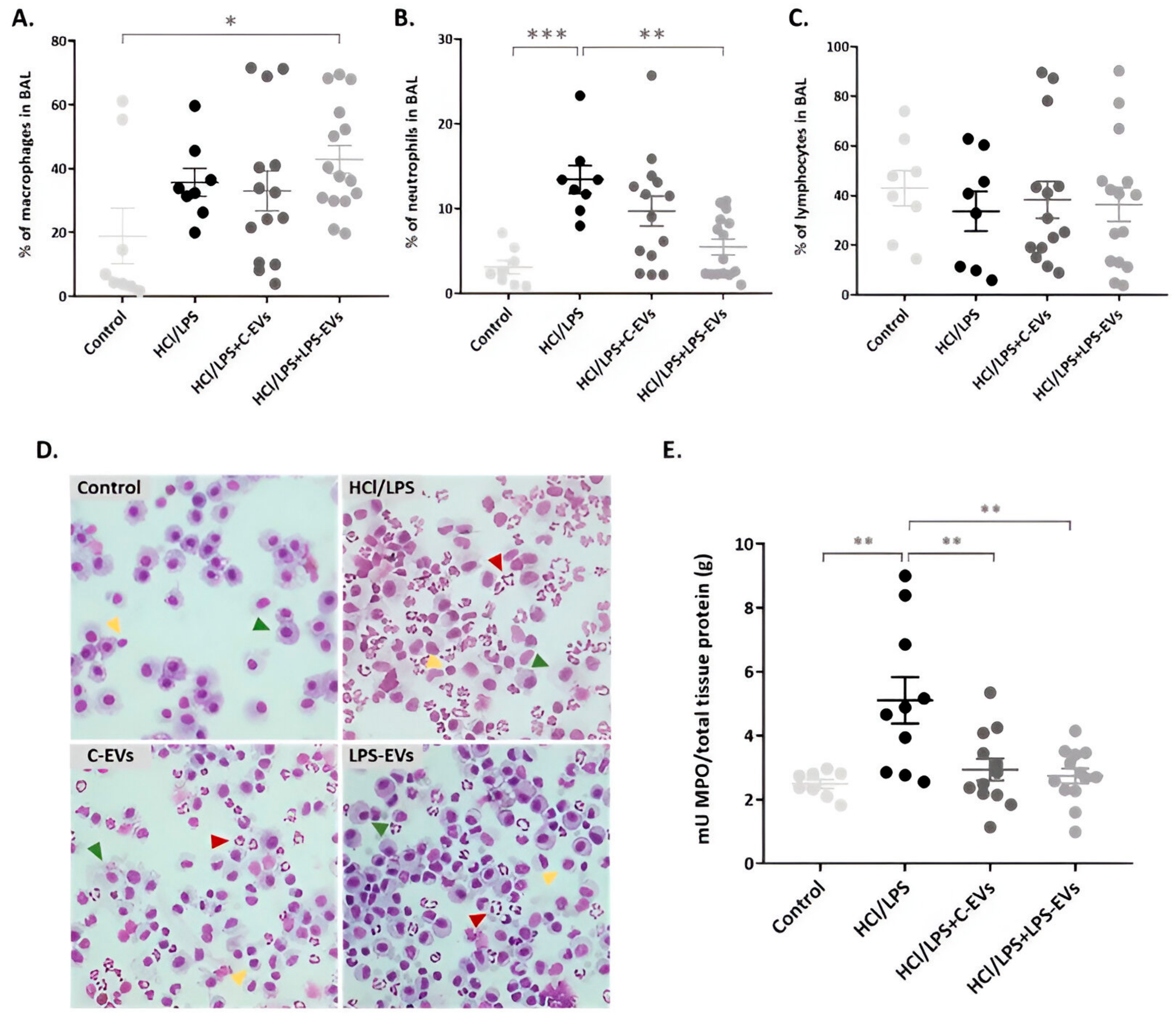 Pharmaceutics 16 01316 g006