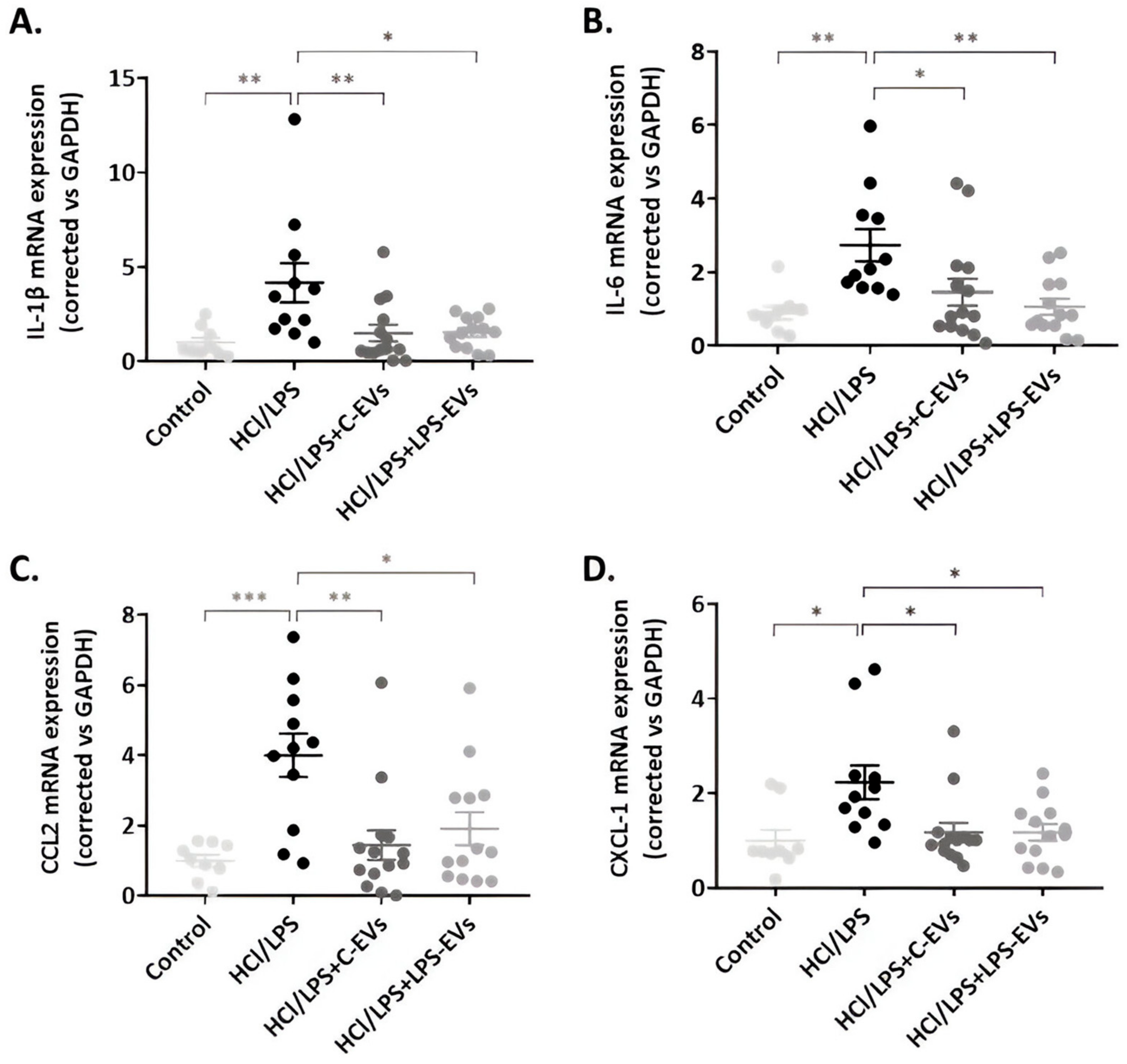 Pharmaceutics 16 01316 g007