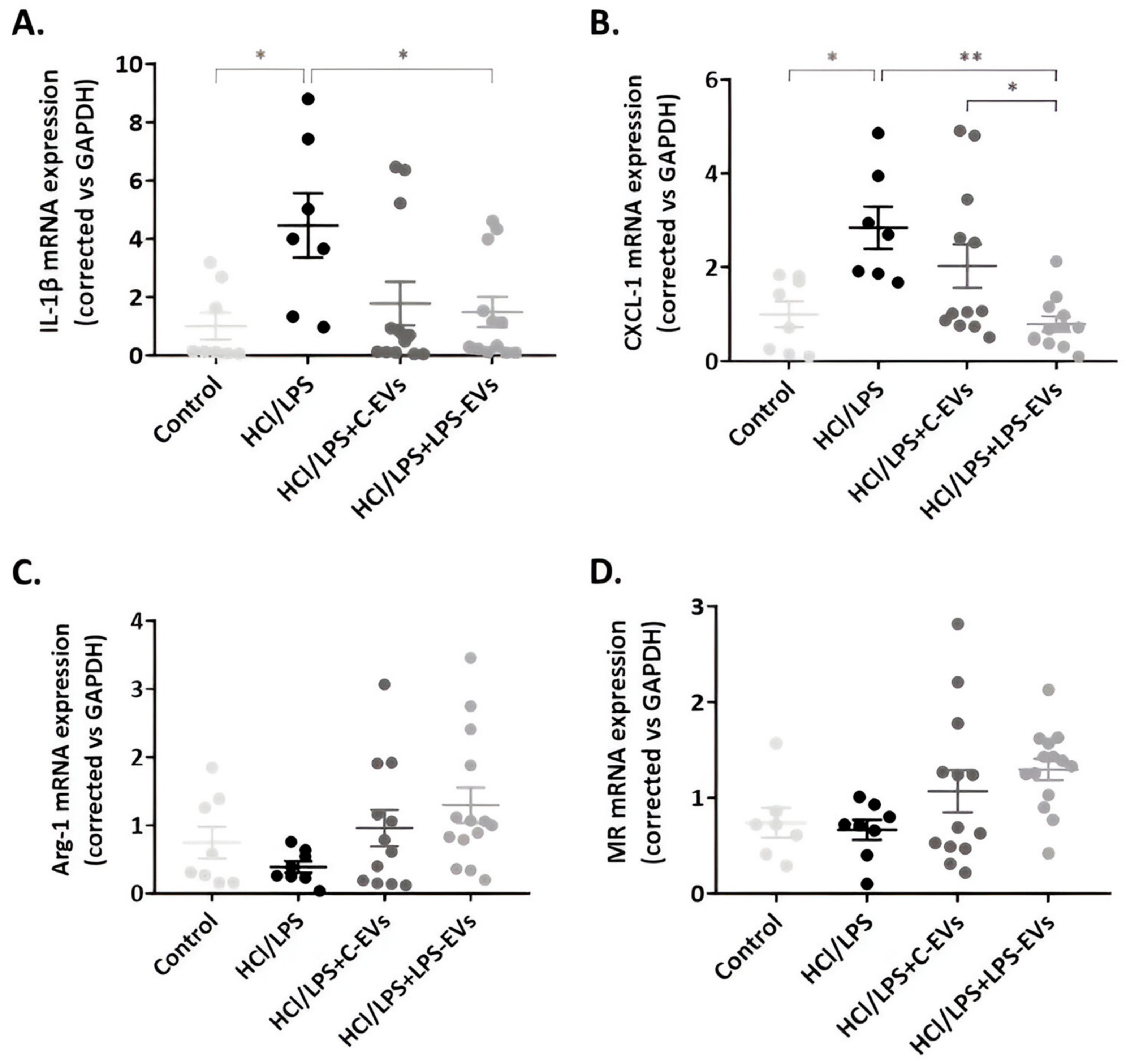 Pharmaceutics 16 01316 g008