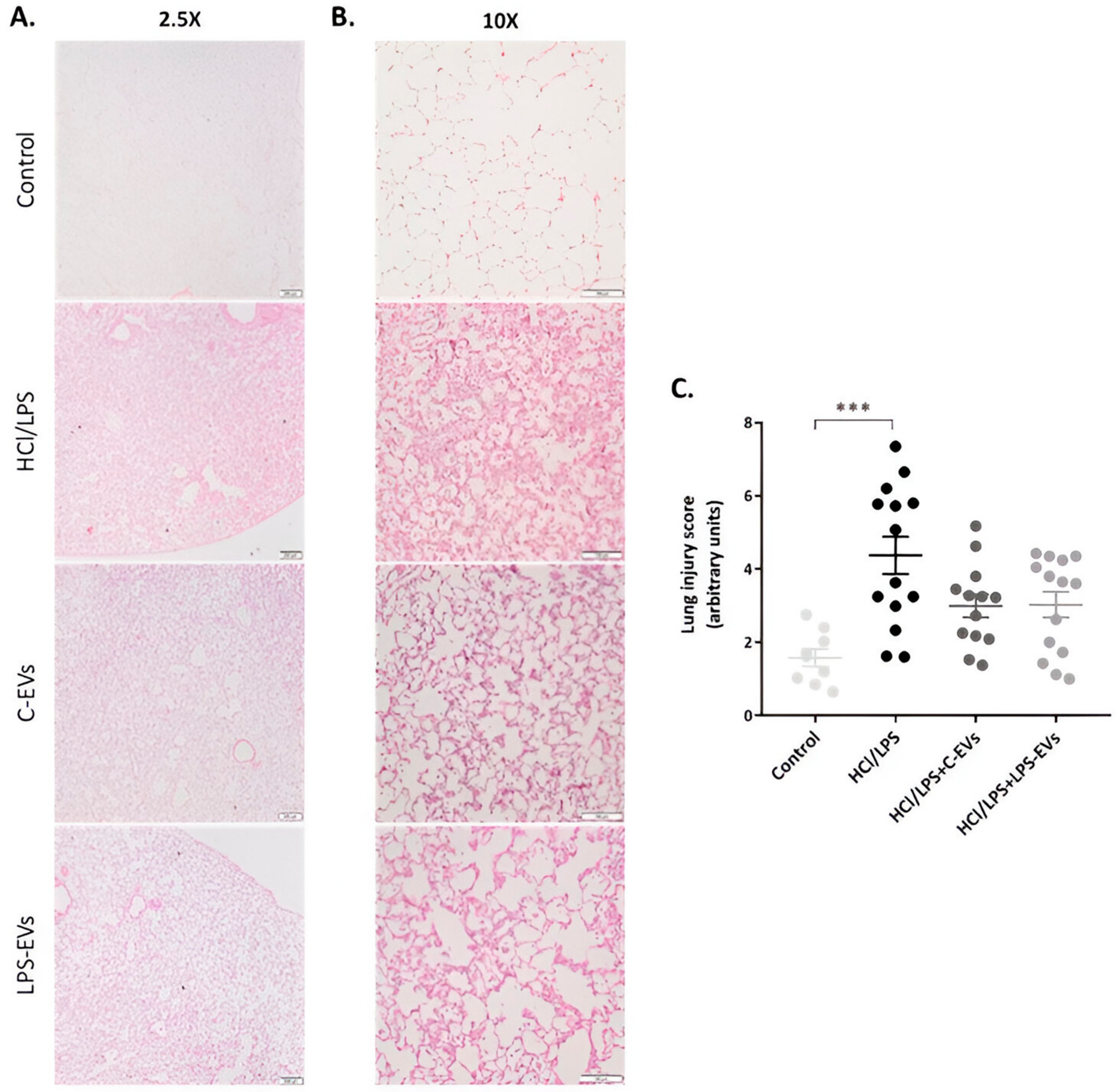 Pharmaceutics 16 01316 g009