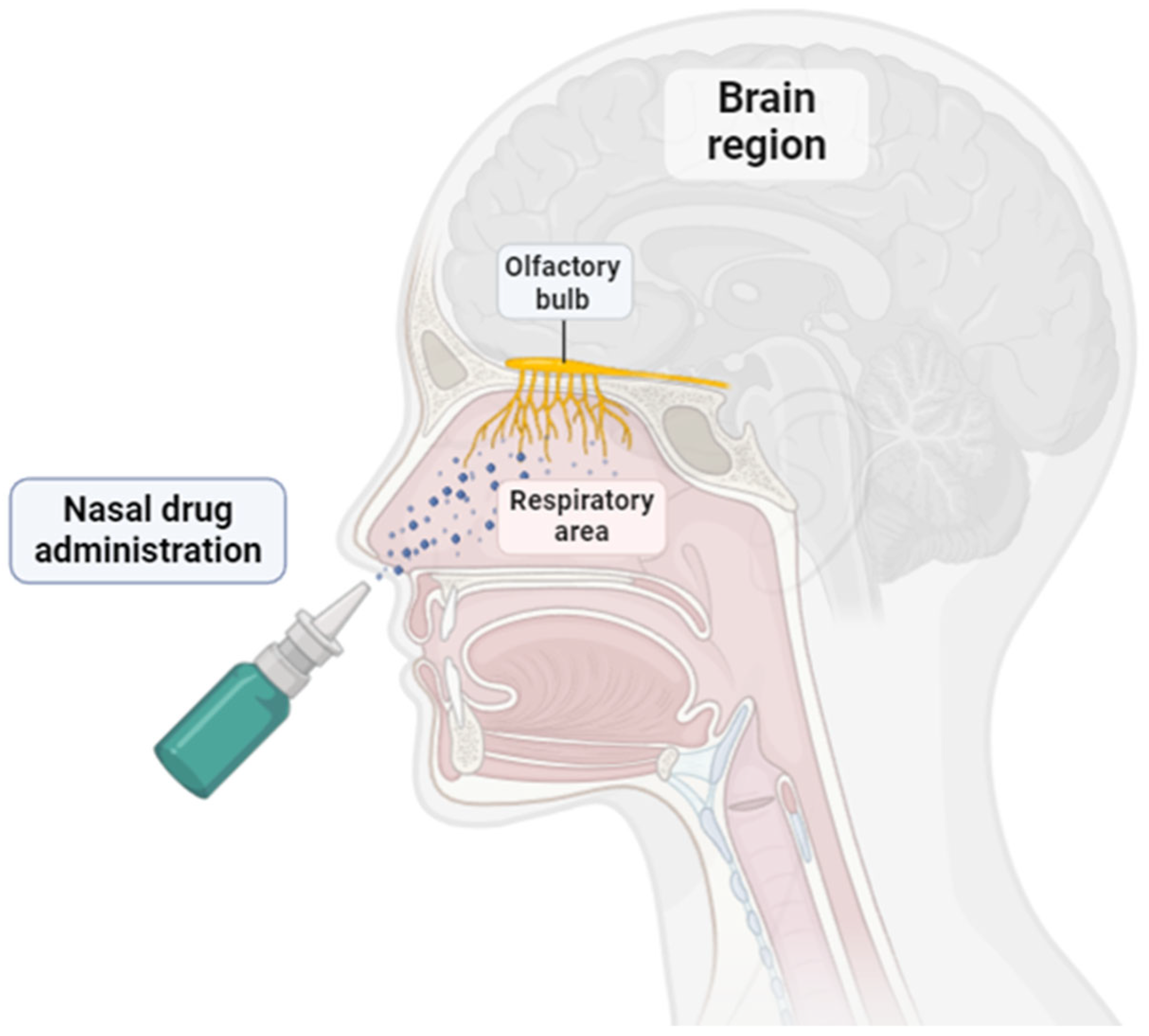 Pharmaceutics 16 01322 g002