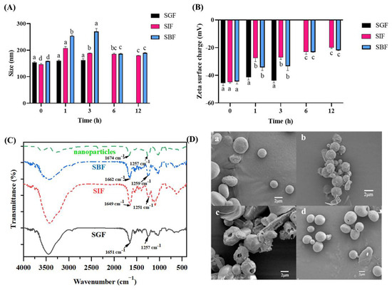 Development of a pH-Sensitive Nanoparticle via Self-Assembly
