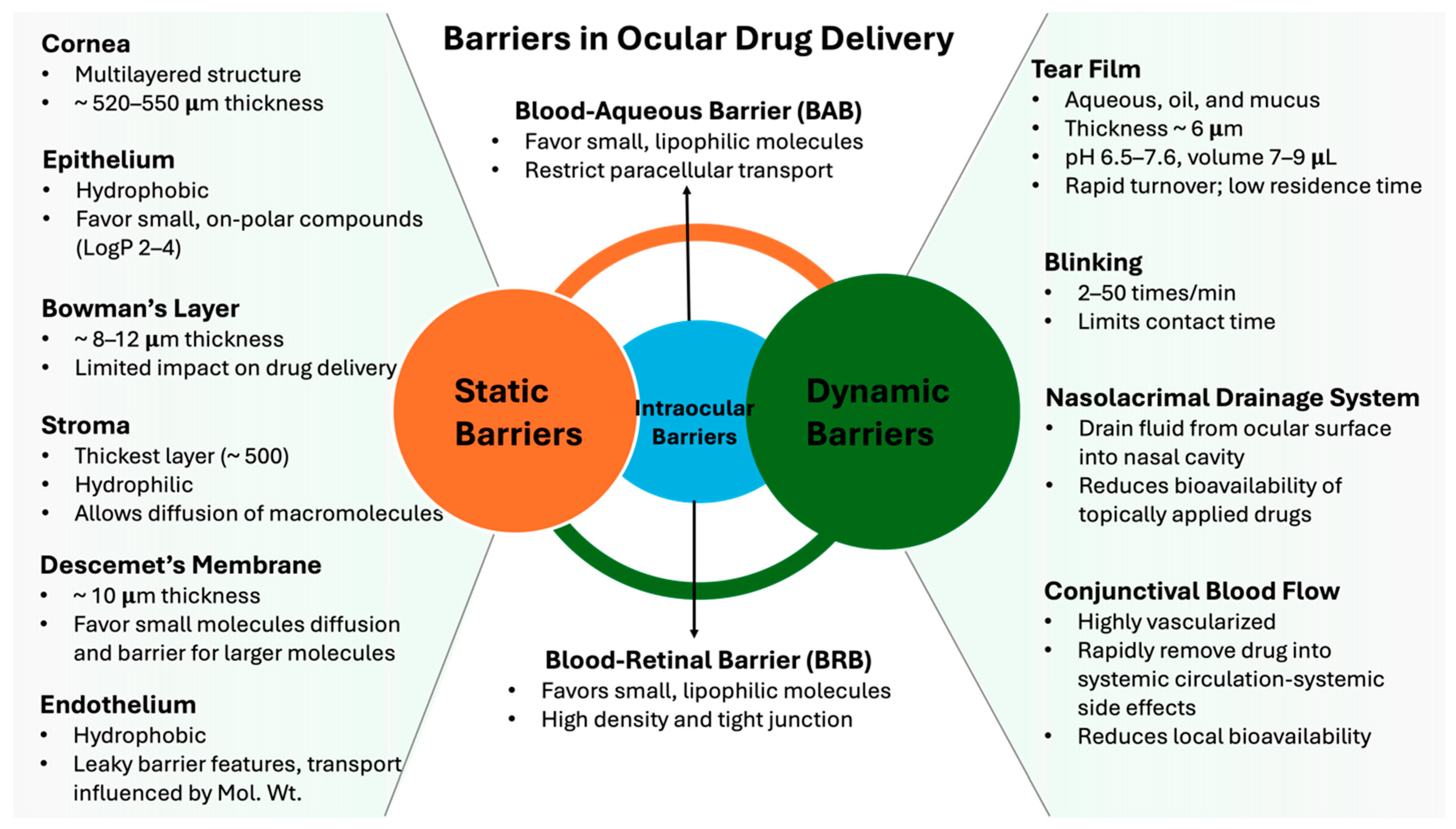 Pharmaceutics 16 01325 g001