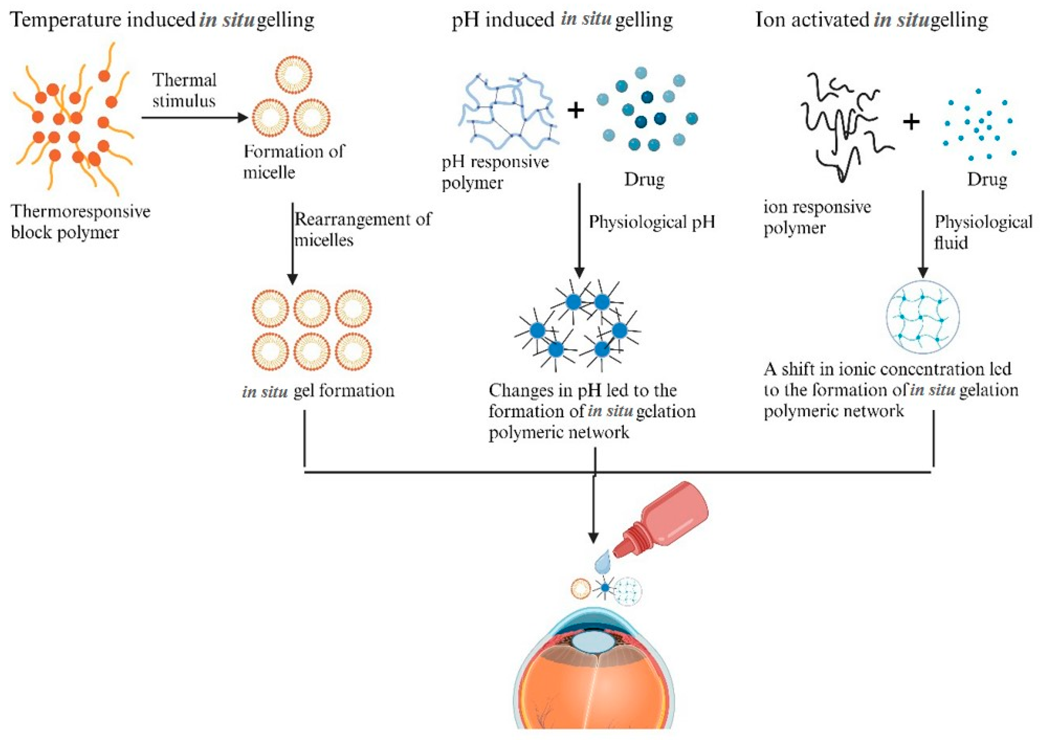 Pharmaceutics 16 01325 g003