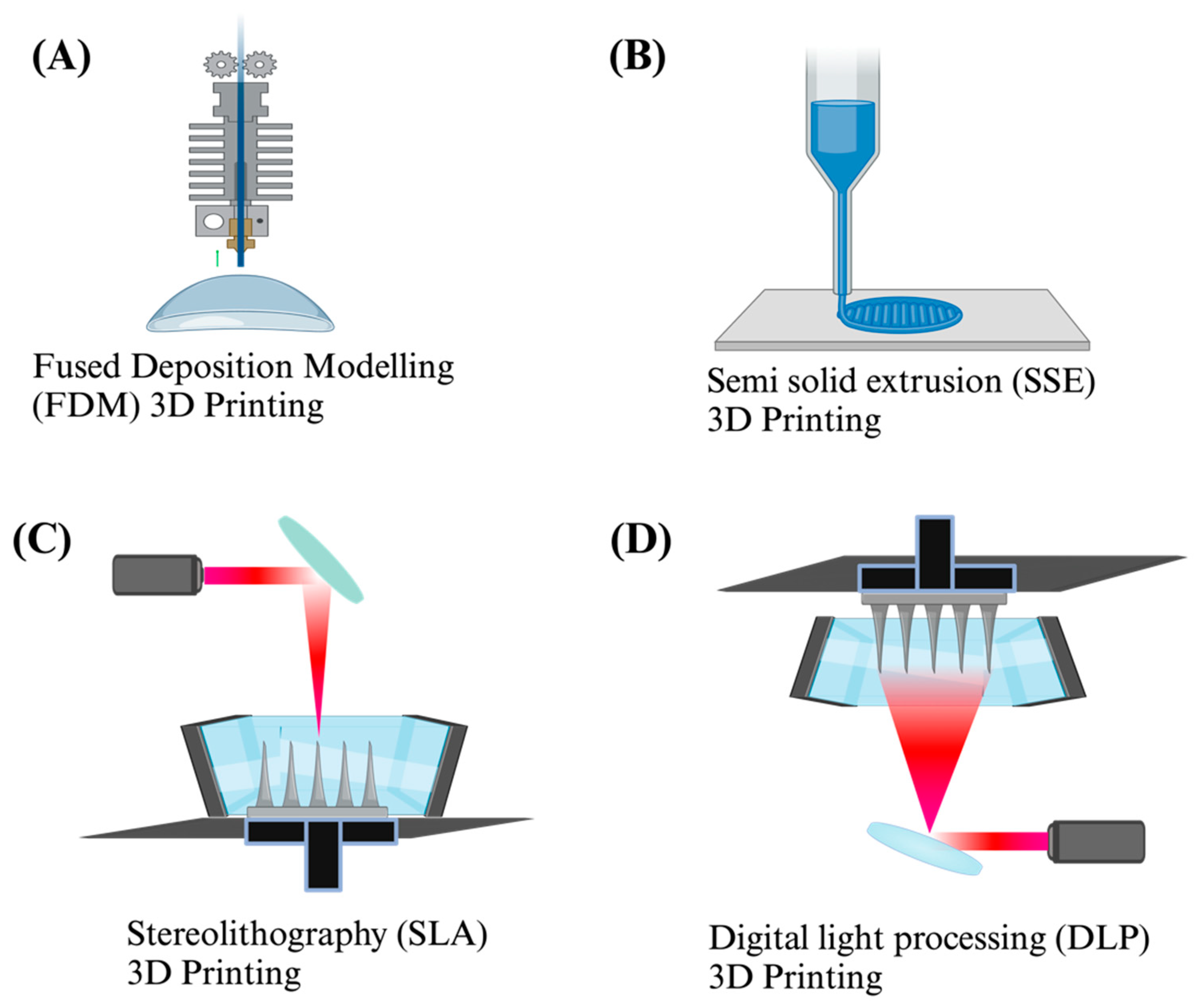 Pharmaceutics 16 01325 g006
