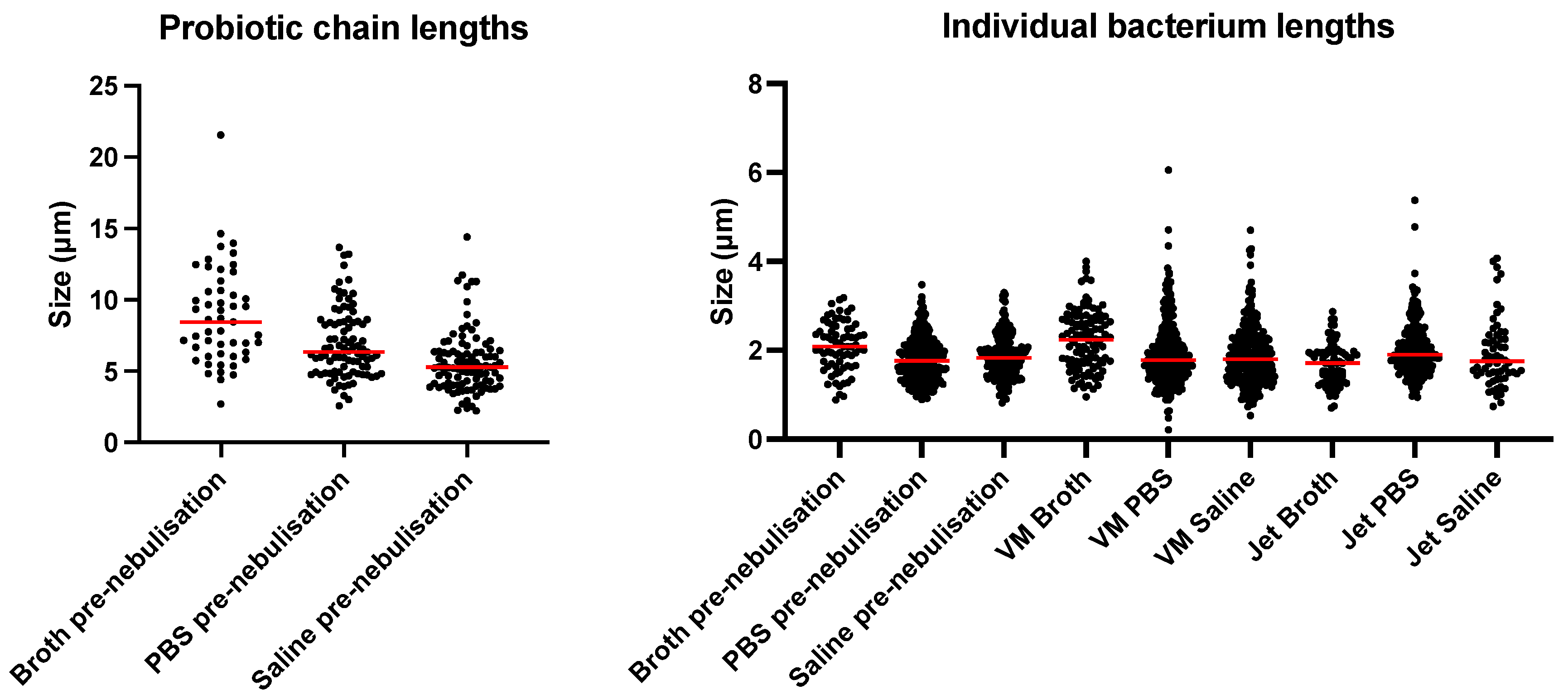 Pharmaceutics 16 01326 g011