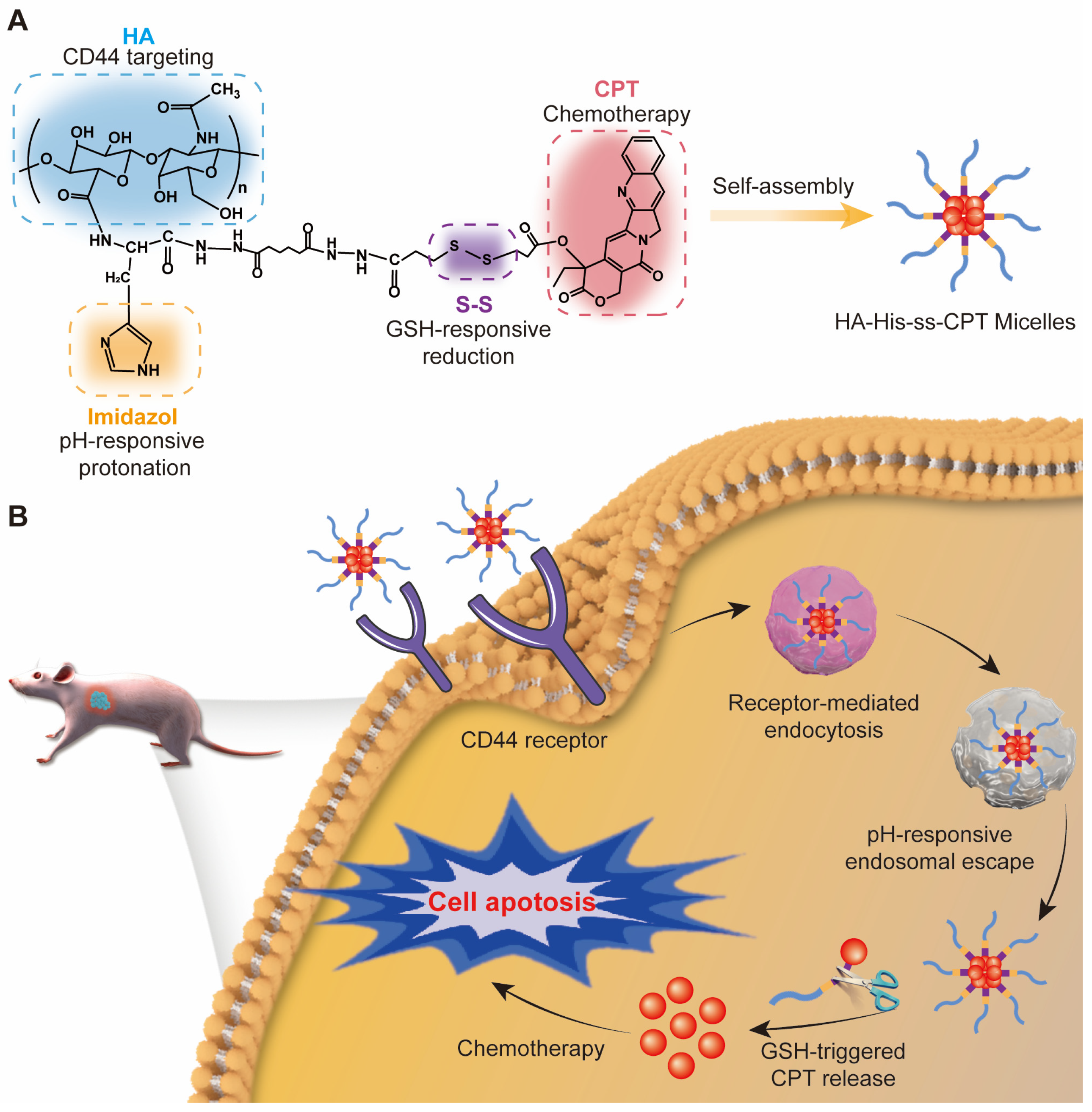 Pharmaceutics 16 01327 g001