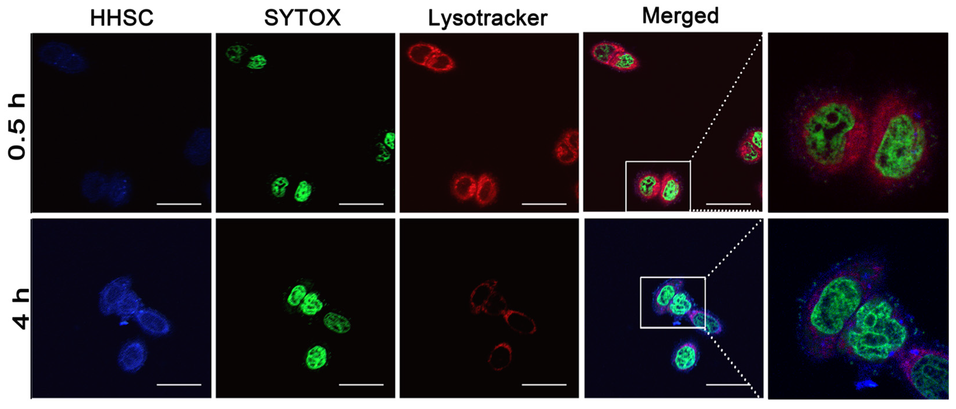 Pharmaceutics 16 01327 g005