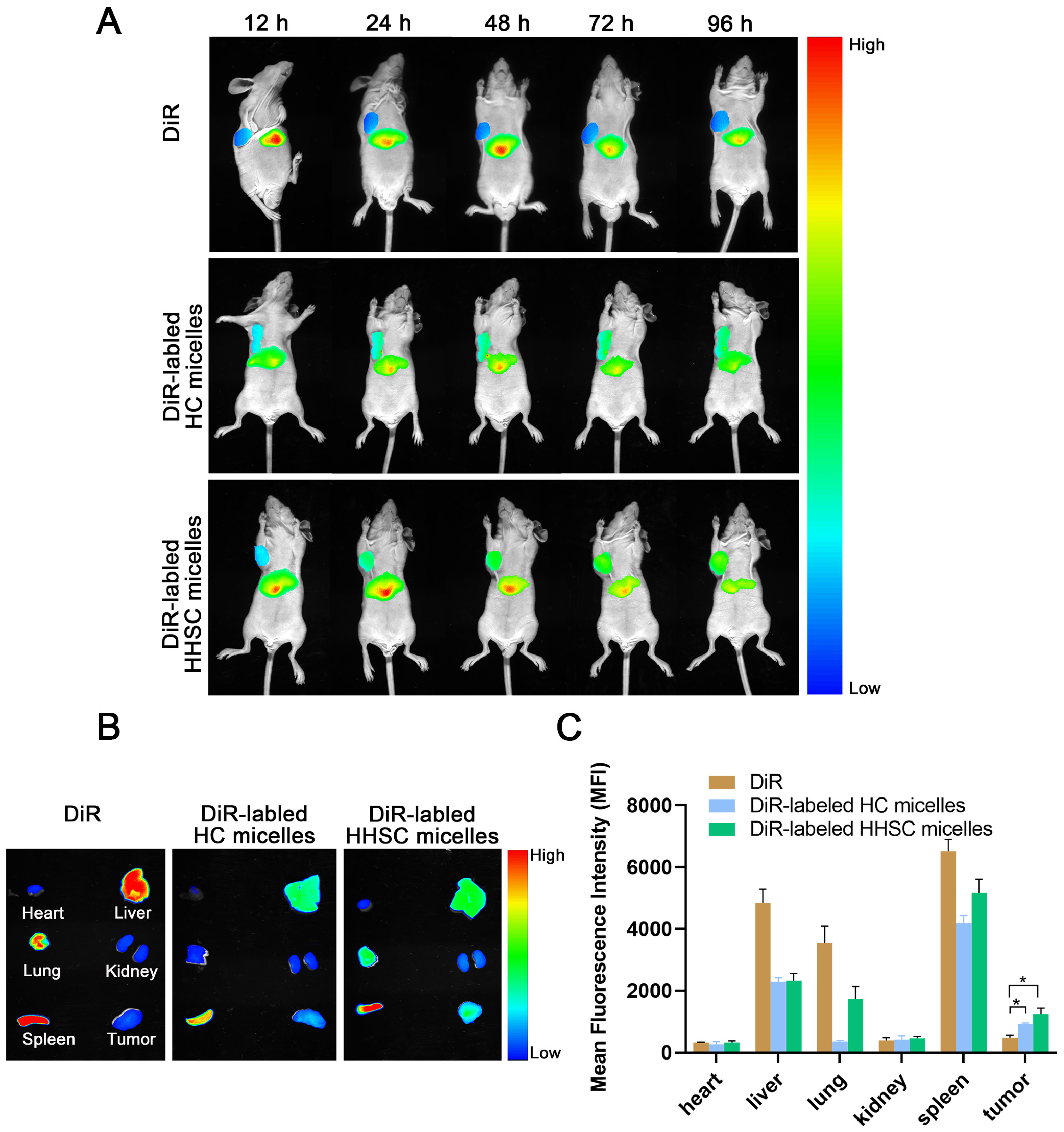 Pharmaceutics 16 01327 g009