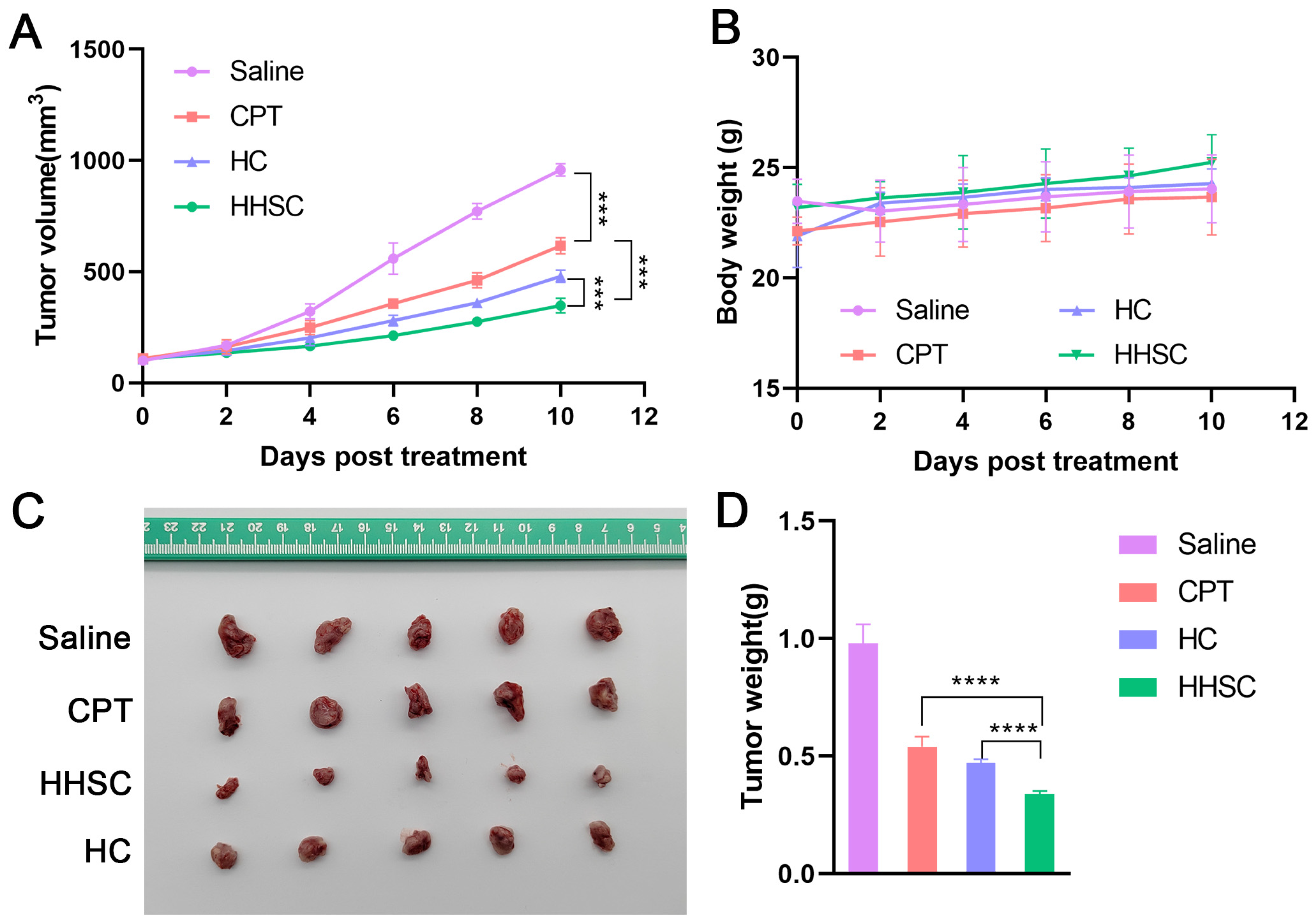 Pharmaceutics 16 01327 g010