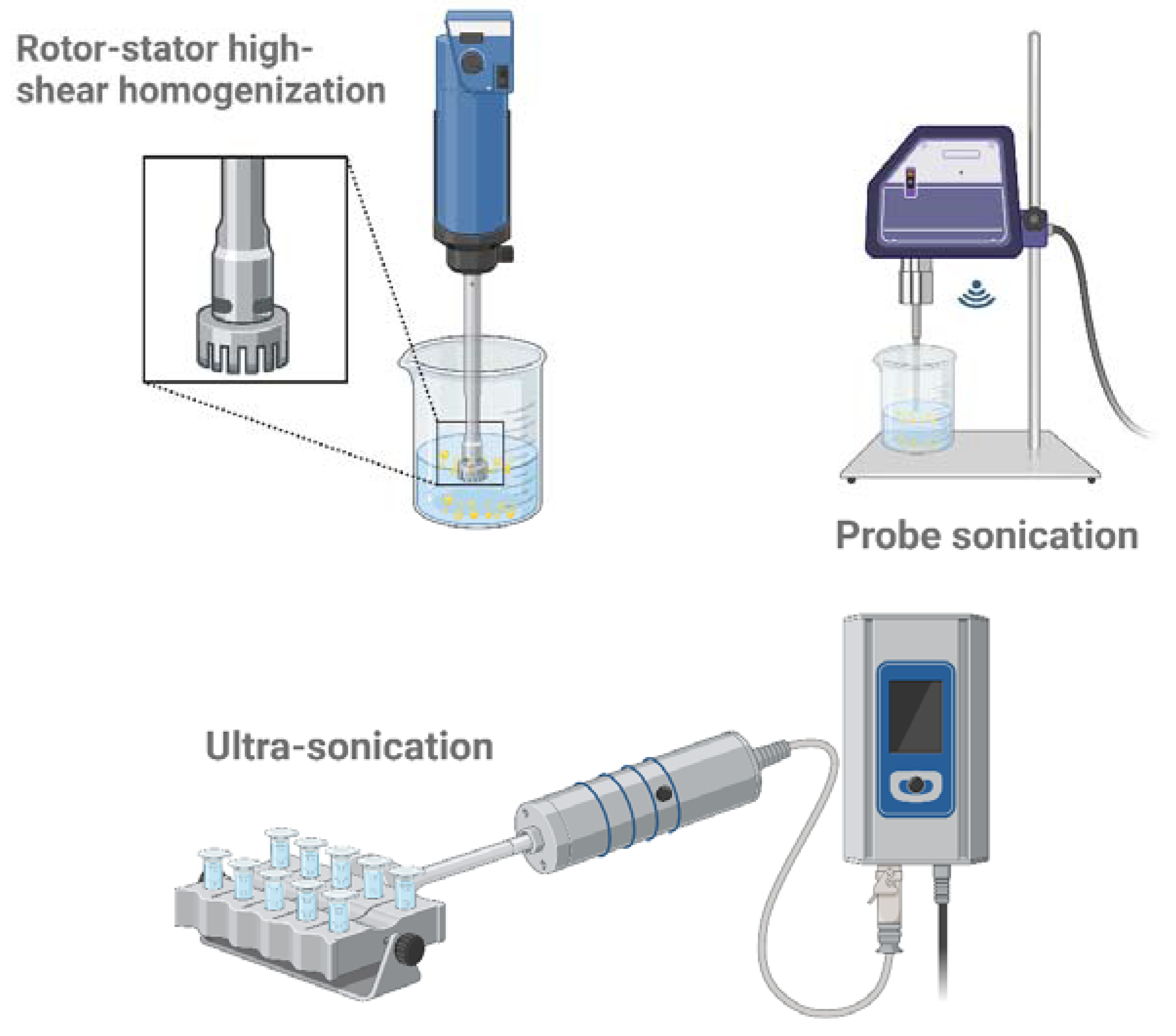 Pharmaceutics 16 01333 g002