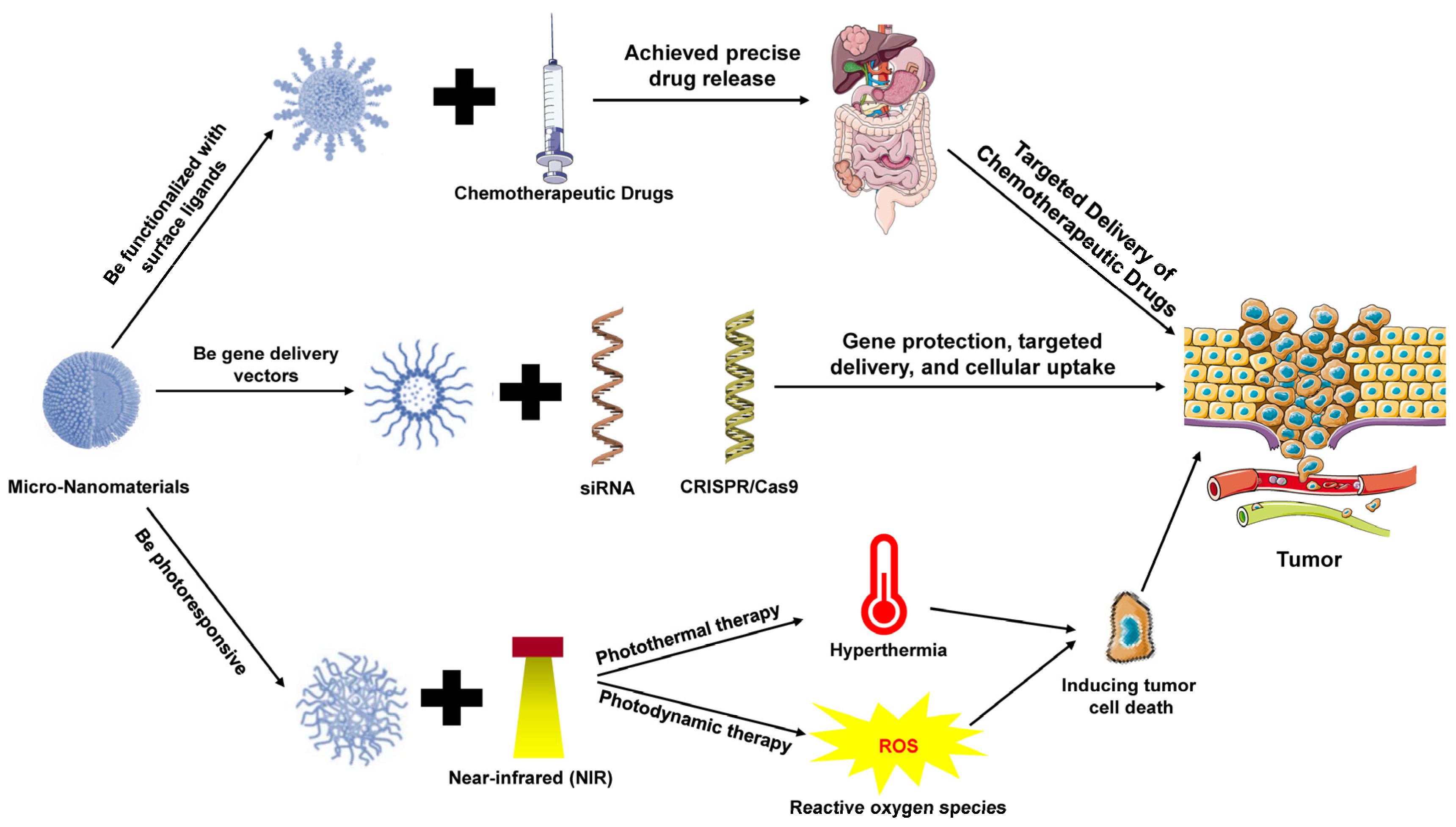 Pharmaceutics 16 01339 g001