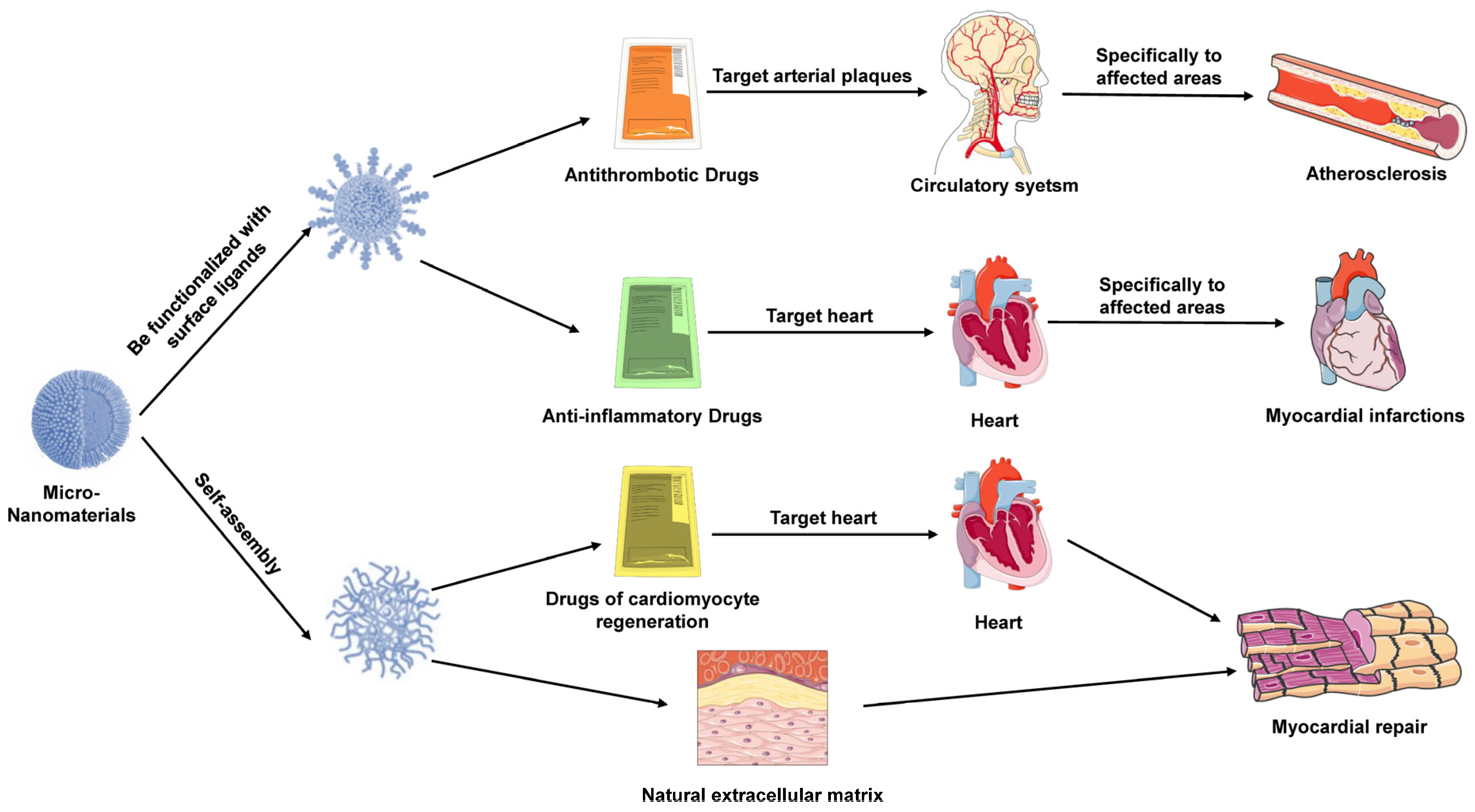 Pharmaceutics 16 01339 g003