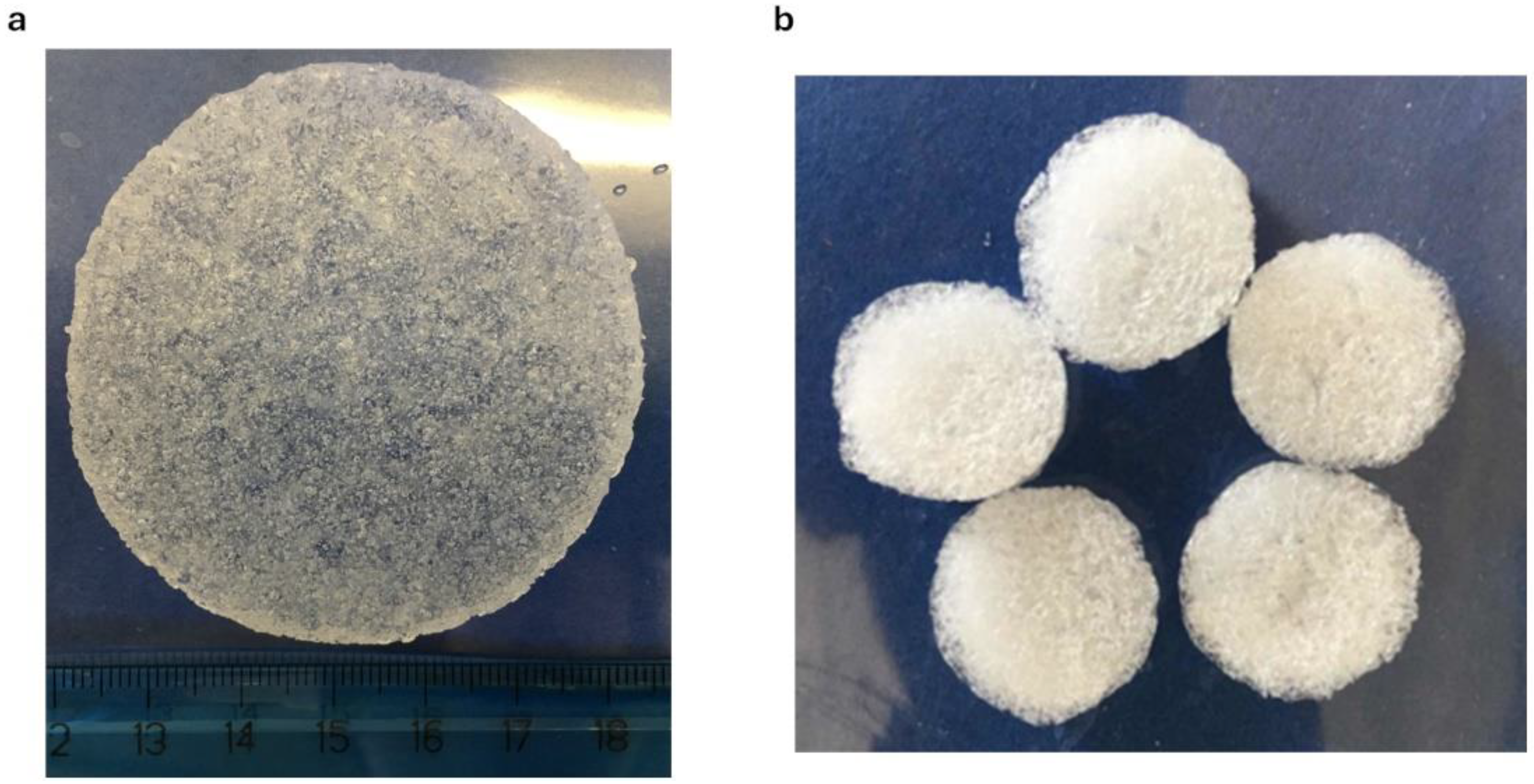 Pharmaceutics 16 01341 g008