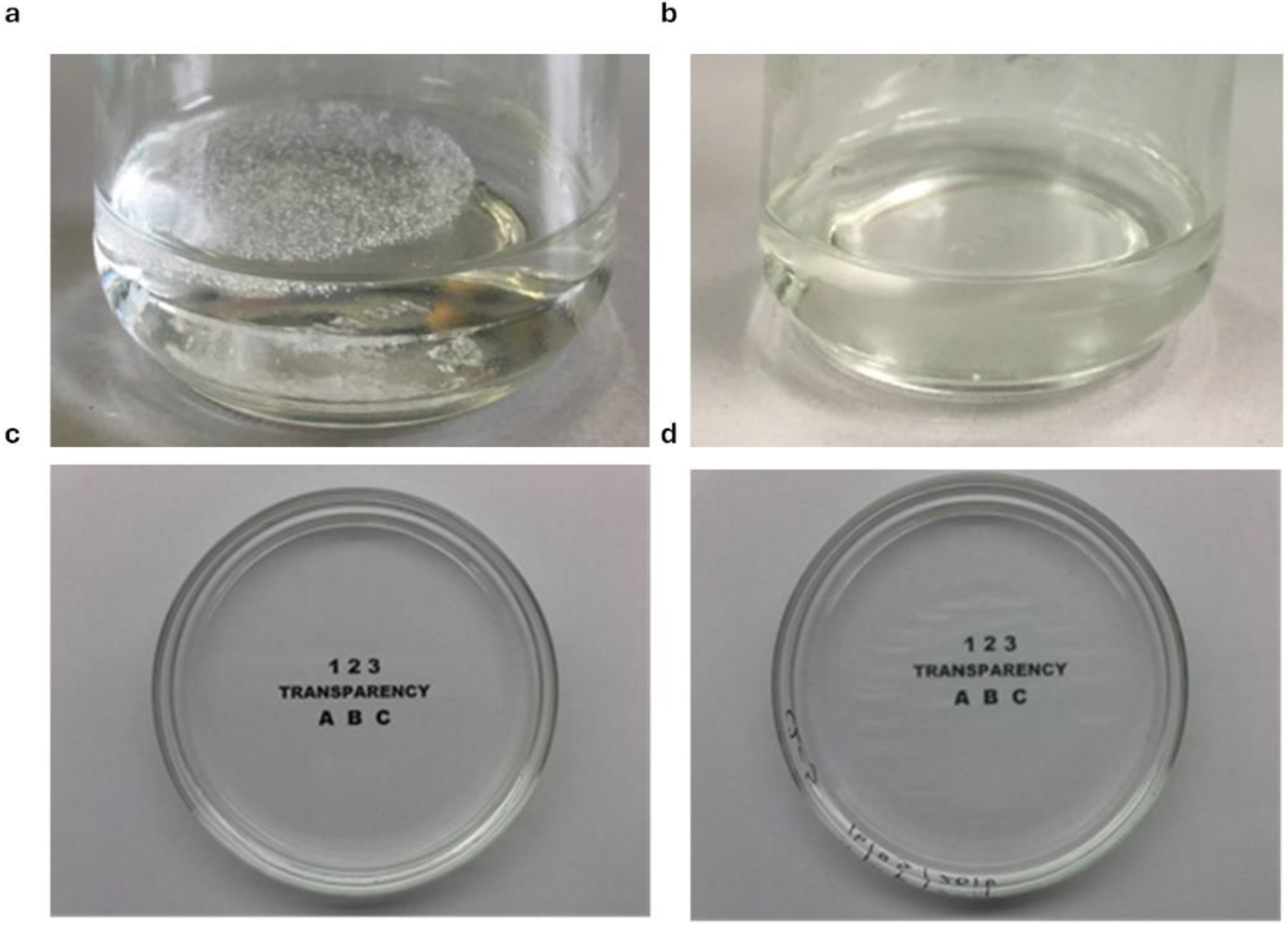 Pharmaceutics 16 01341 g011