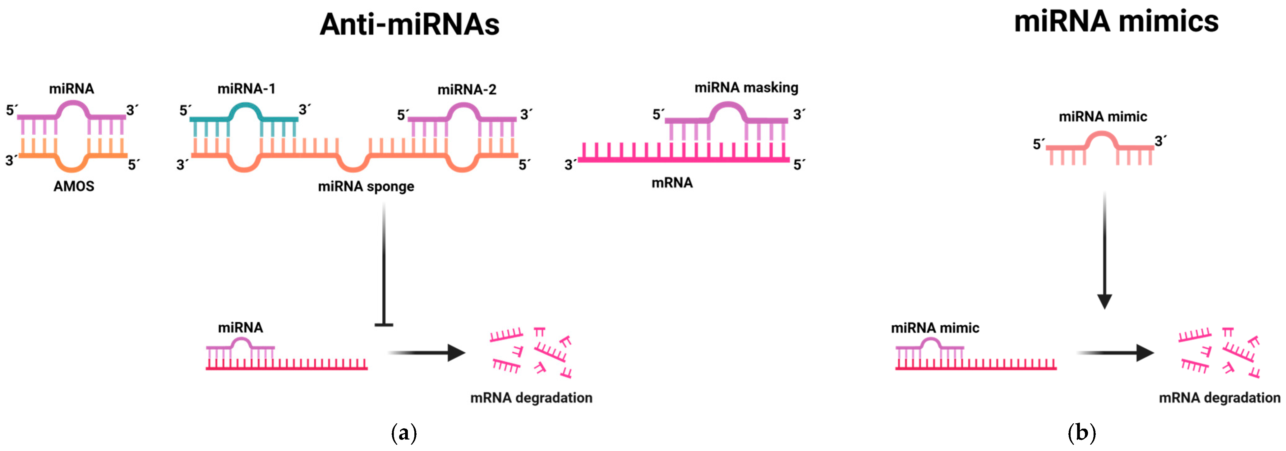 Pharmaceutics 16 01347 g001