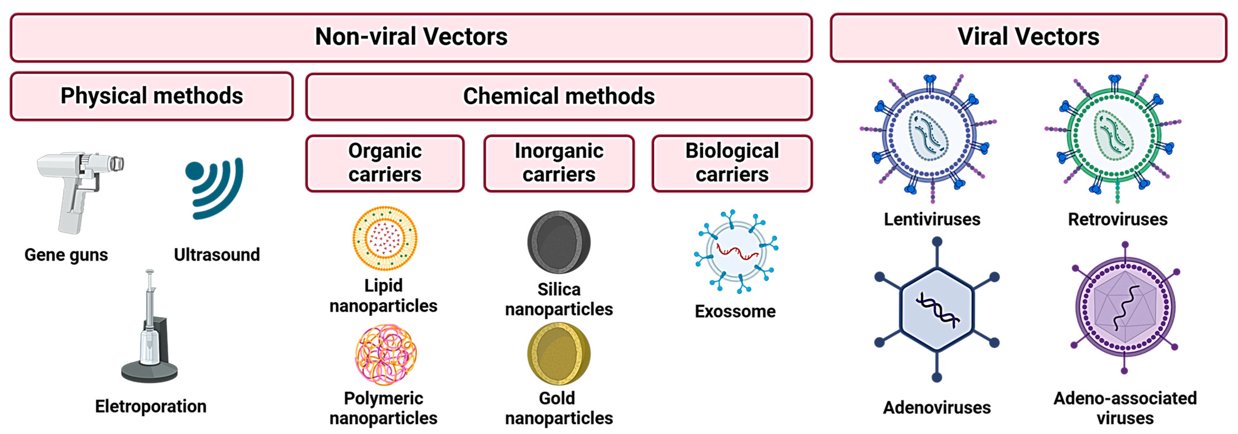 Pharmaceutics 16 01347 g002