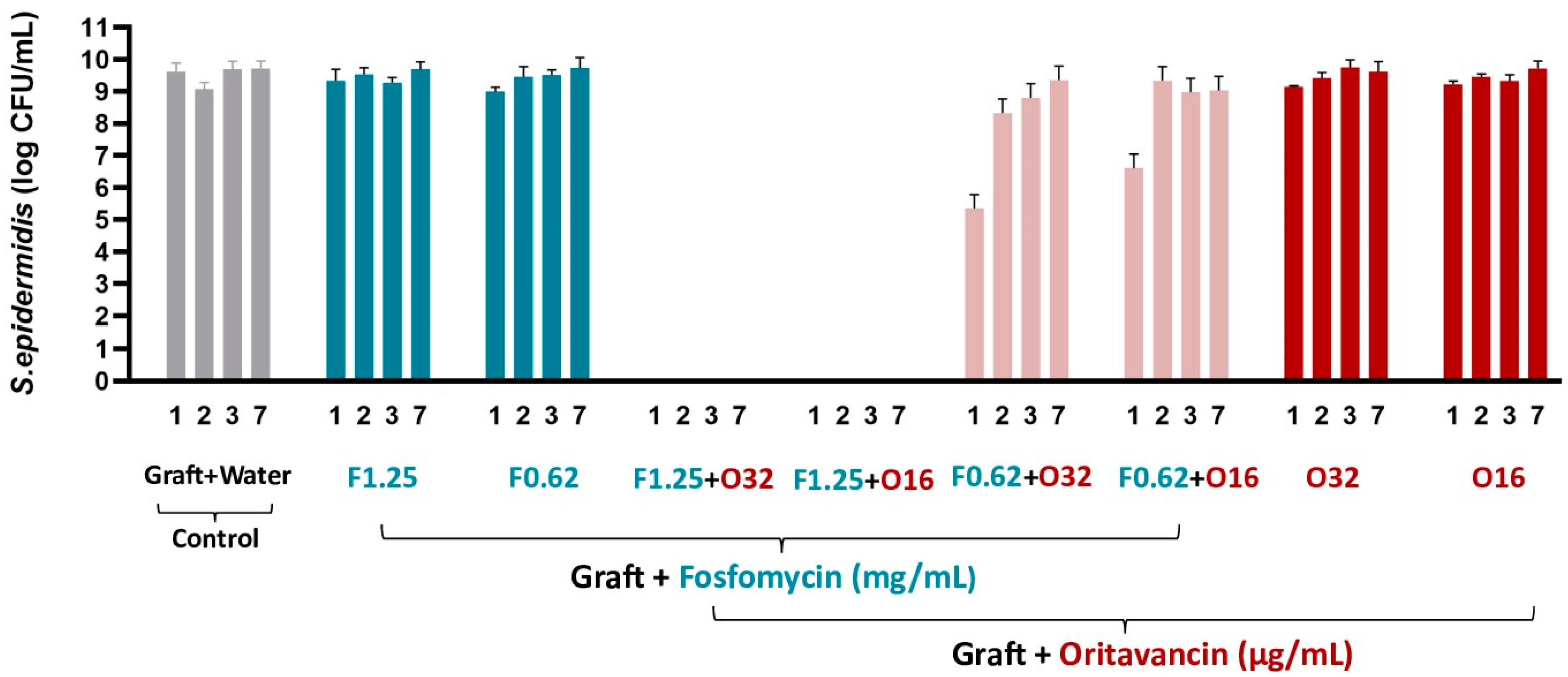 Pharmaceutics 16 01348 g001