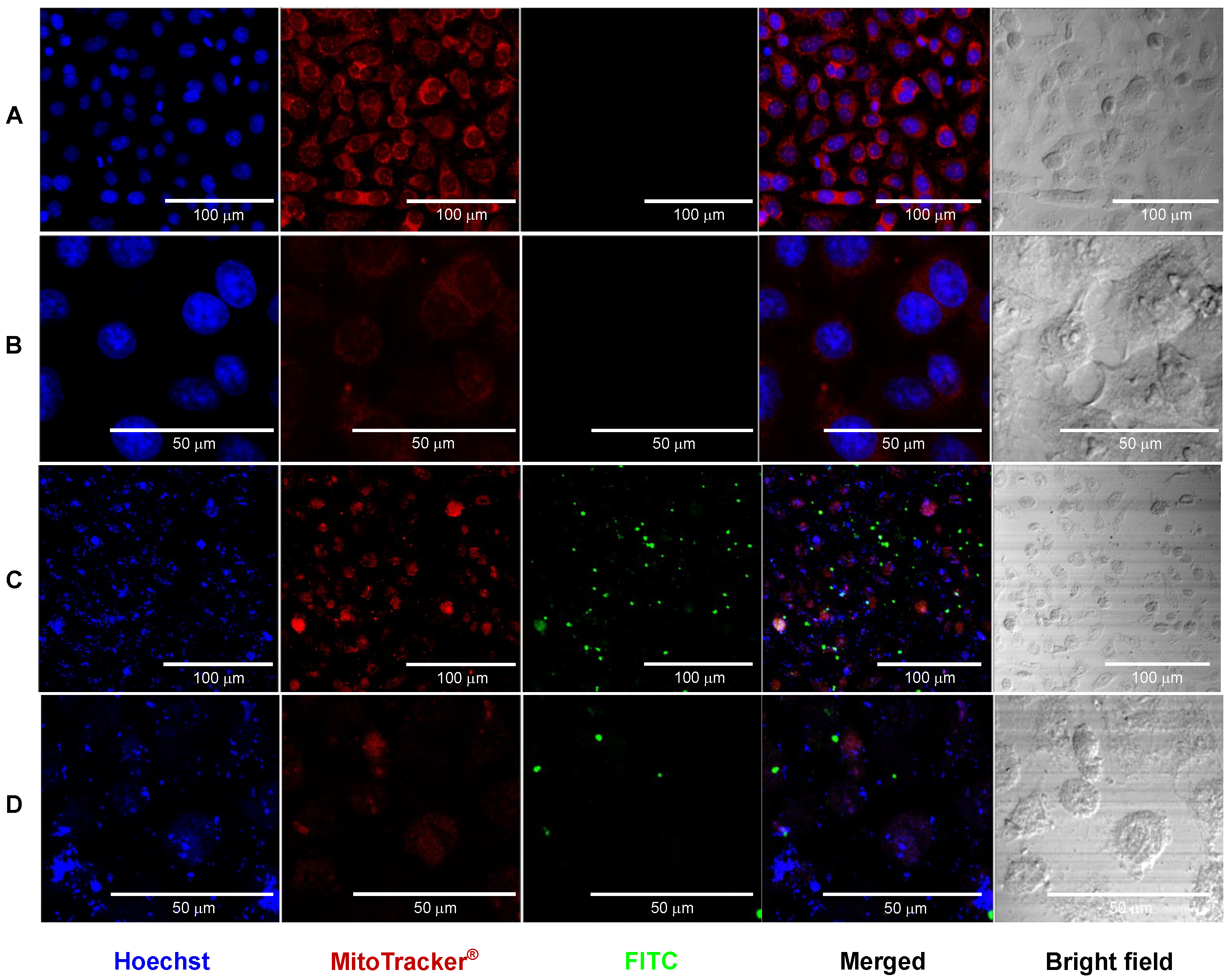 Pharmaceutics 16 01349 g005 Pharmaceutics 16 01349 g005