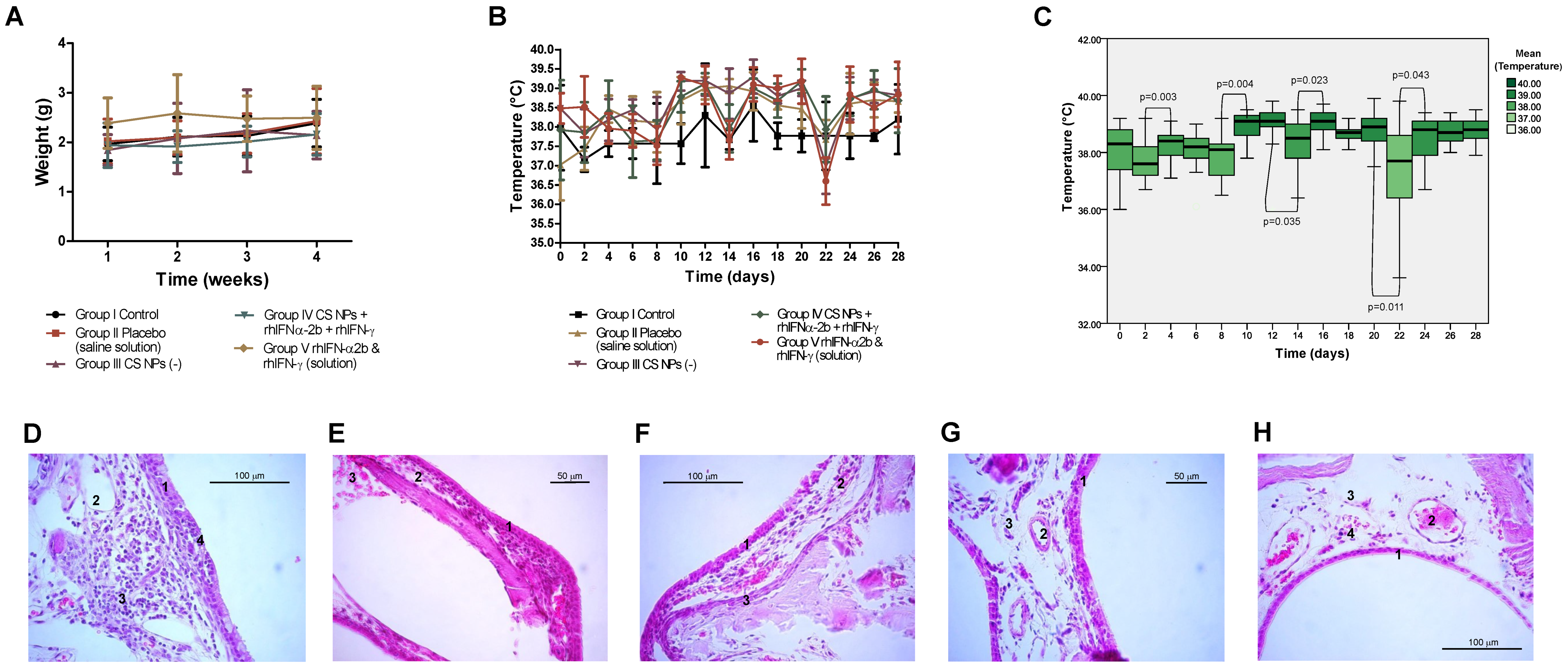 Pharmaceutics 16 01349 g007 Pharmaceutics 16 01349 g007