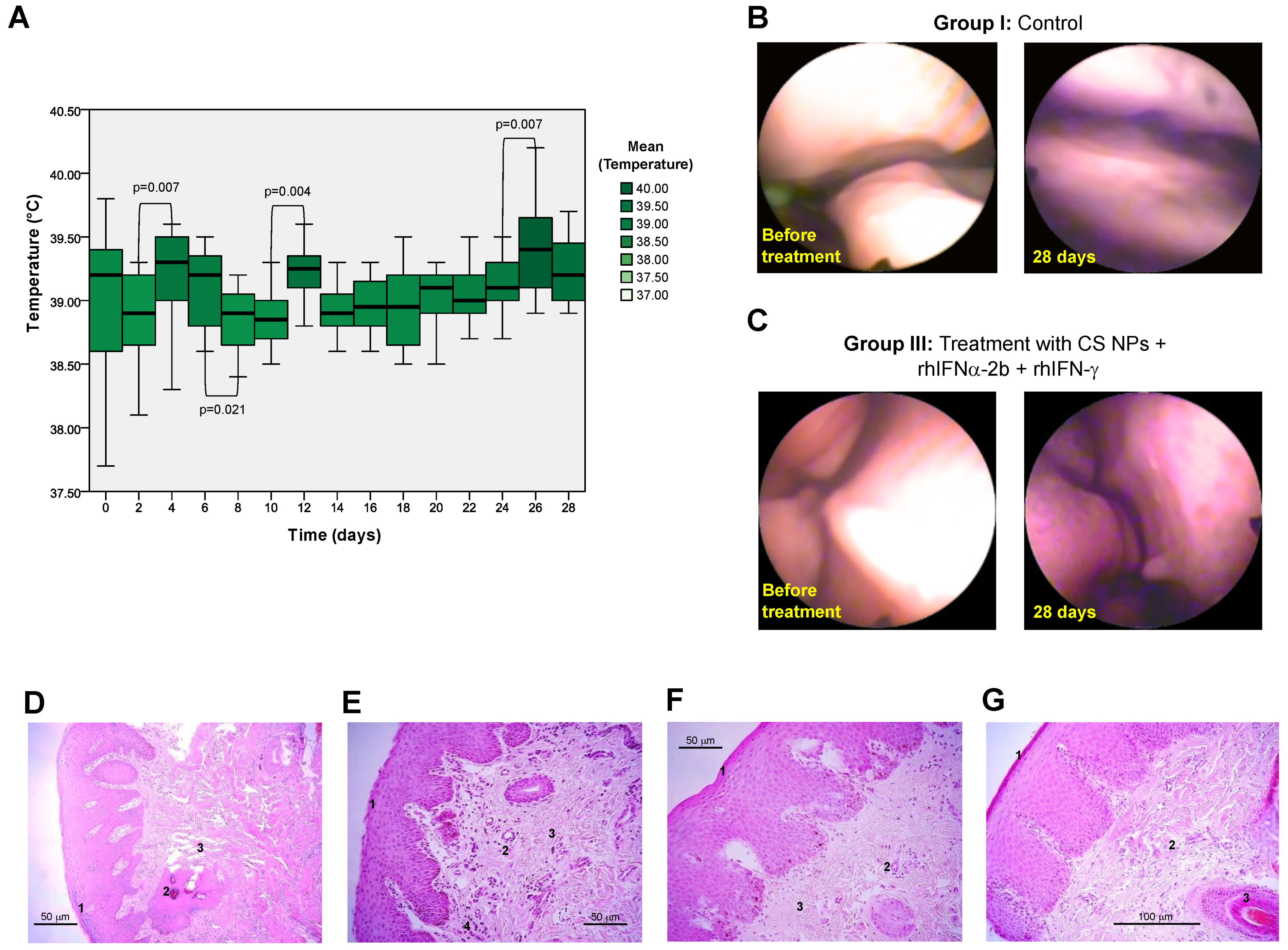 Pharmaceutics 16 01349 g008 Pharmaceutics 16 01349 g008