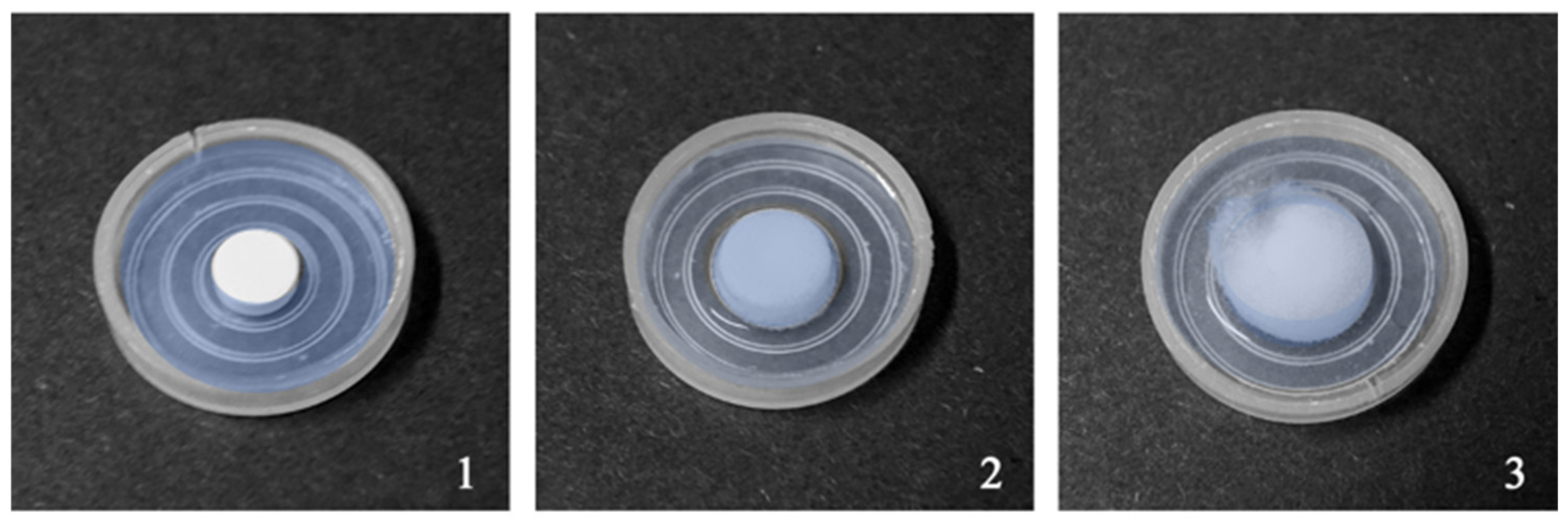 Pharmaceutics 16 01351 g001