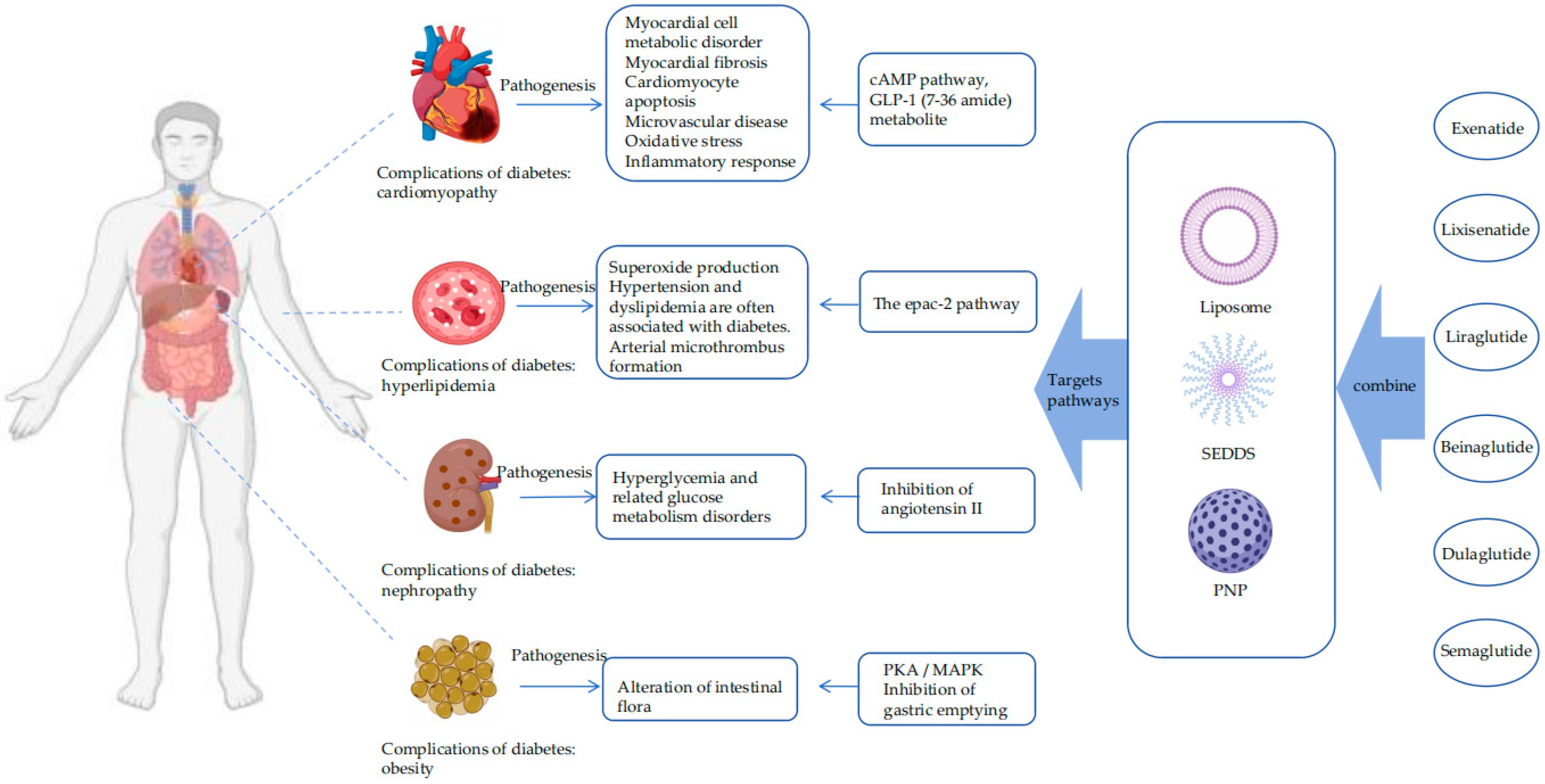 Pharmaceutics 16 01353 g001