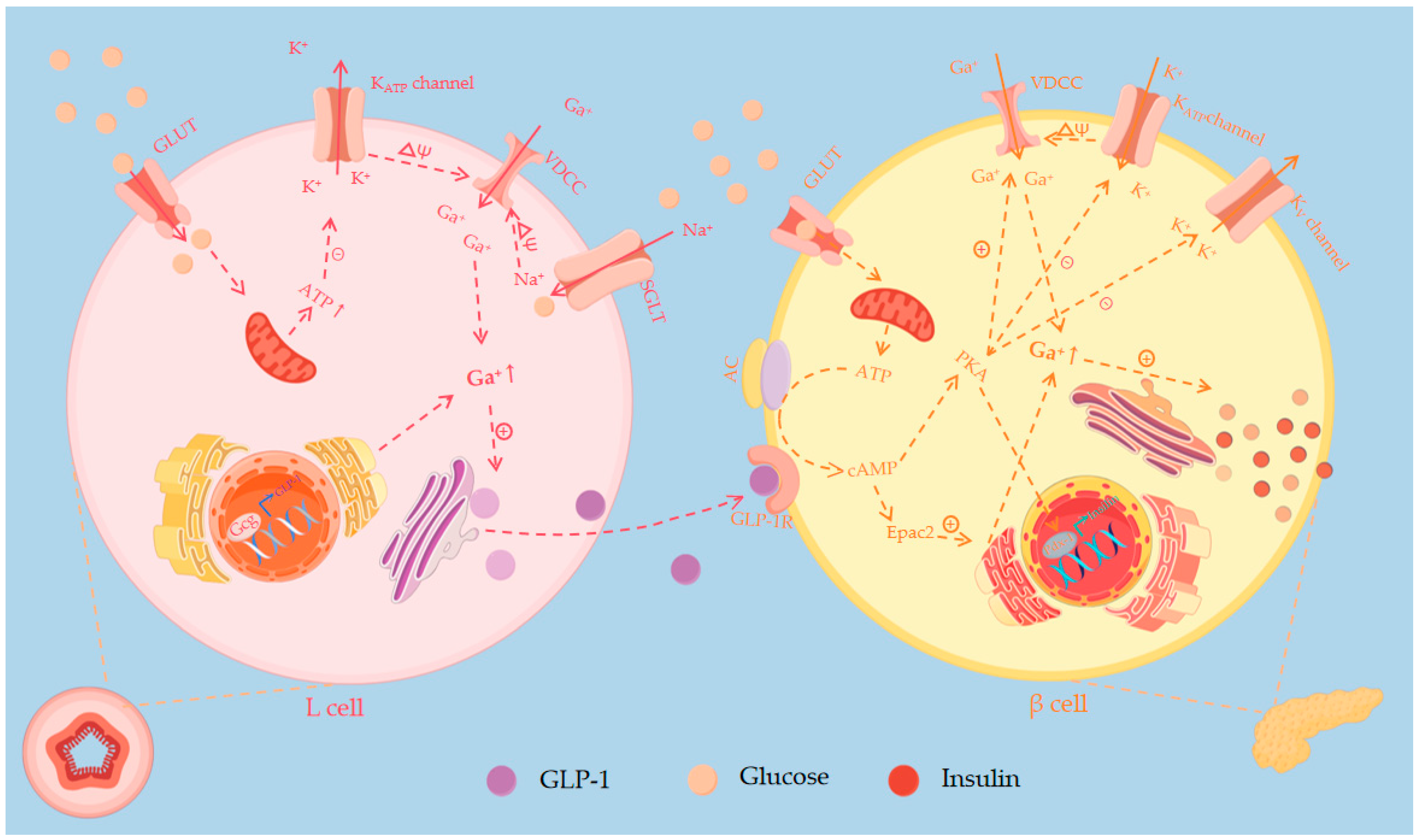 Pharmaceutics 16 01353 g002