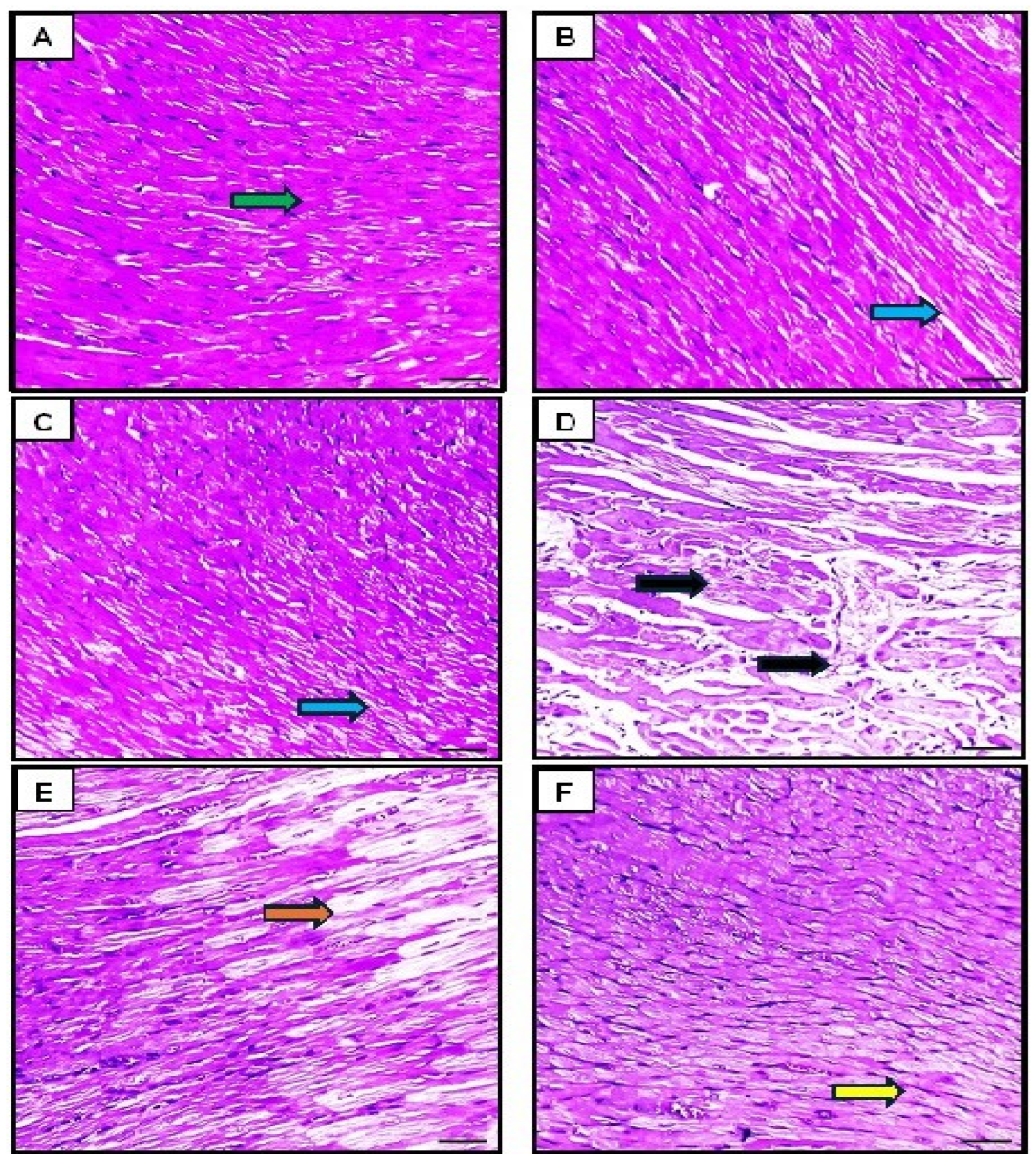 Pharmaceutics 16 01356 g008