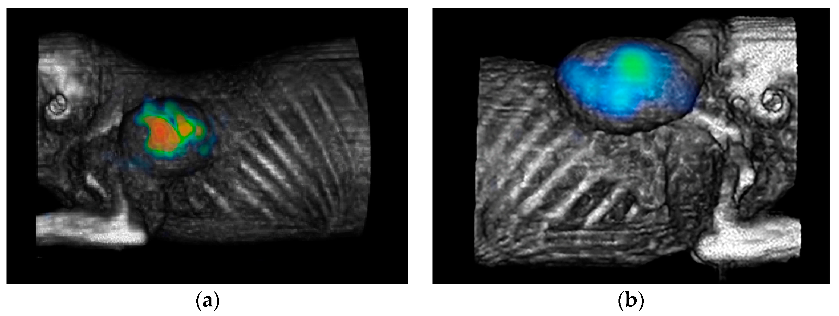 Pharmaceutics 16 01358 g004
