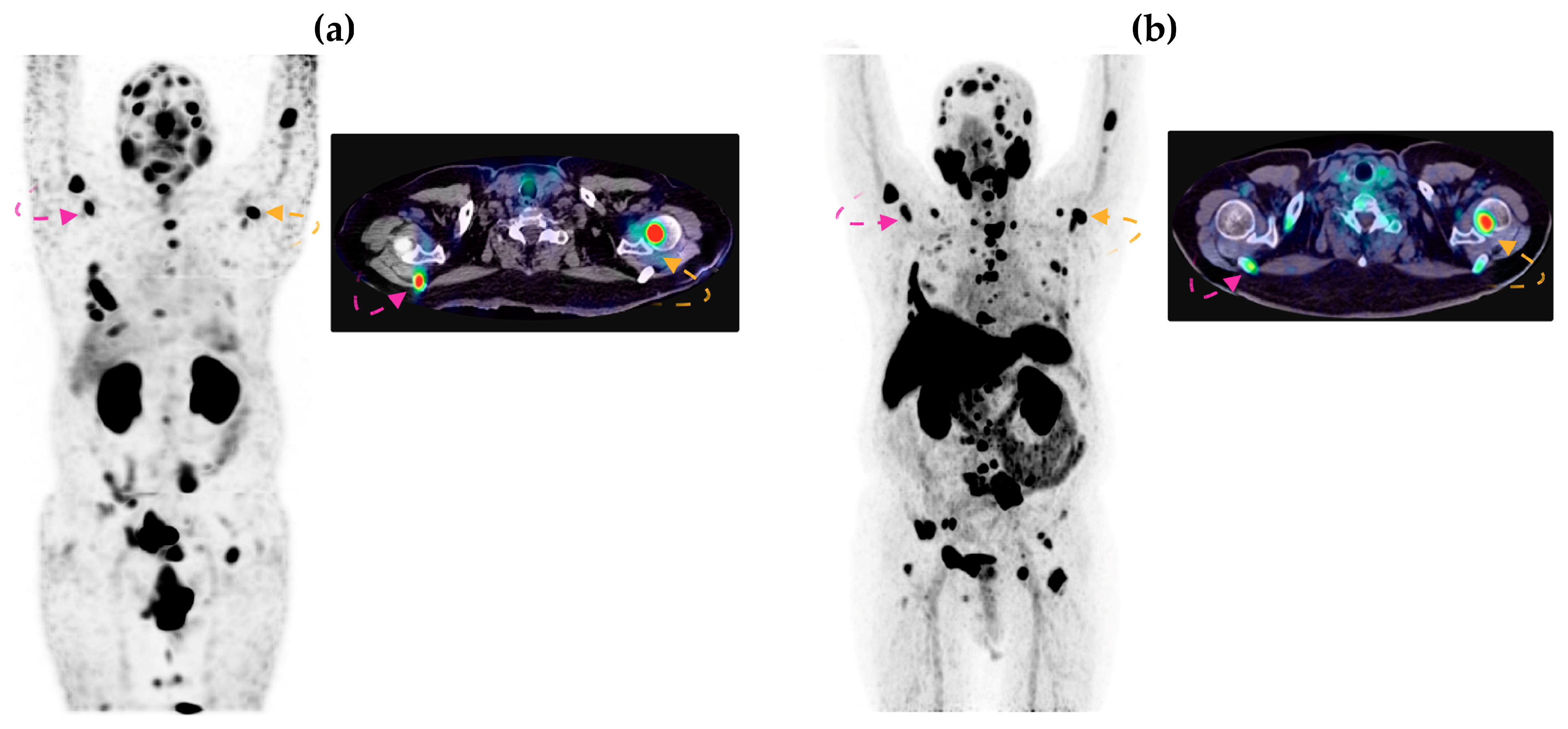 Pharmaceutics 16 01358 g006